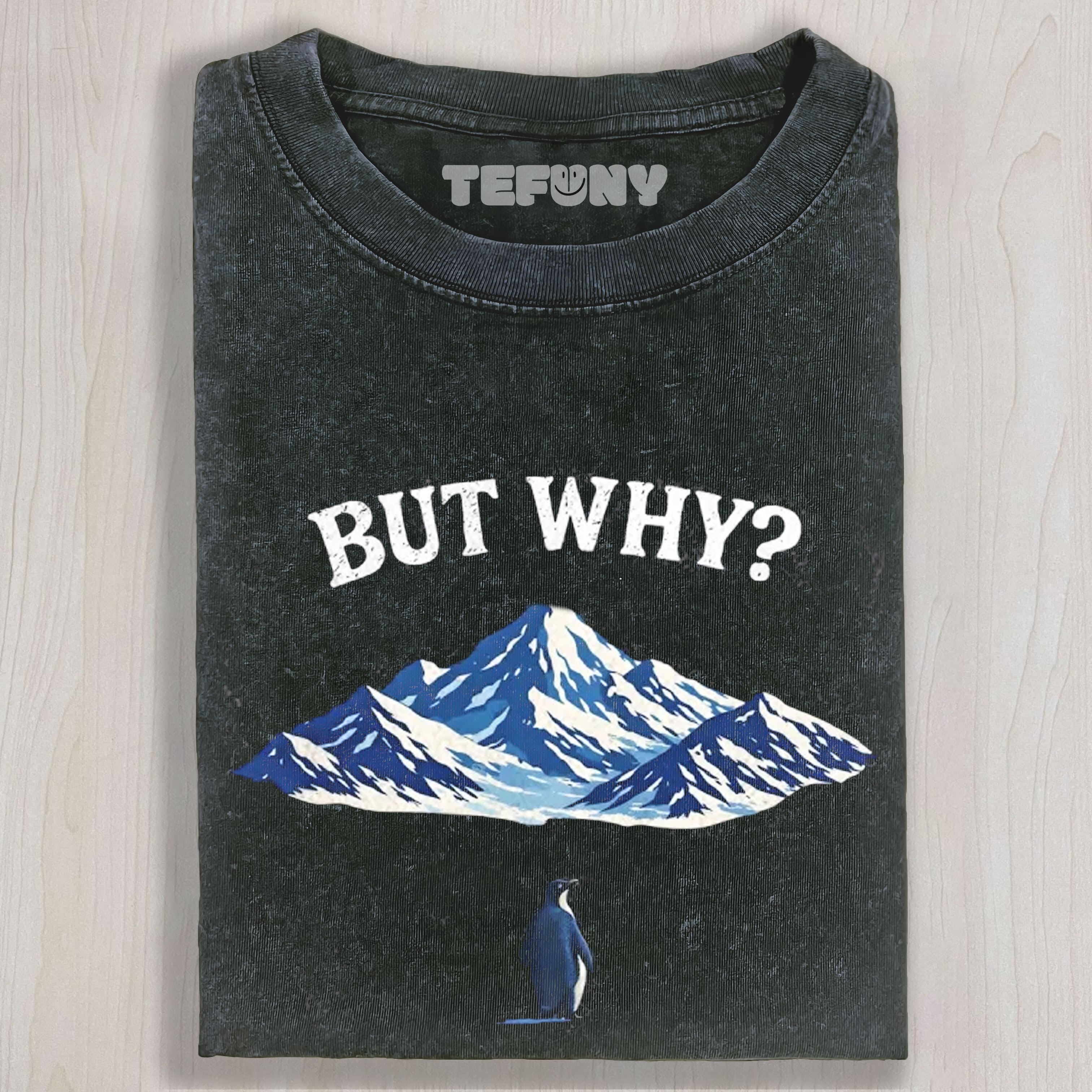 BUT WHY PENGUIN TEE & SWEAT & HOOD