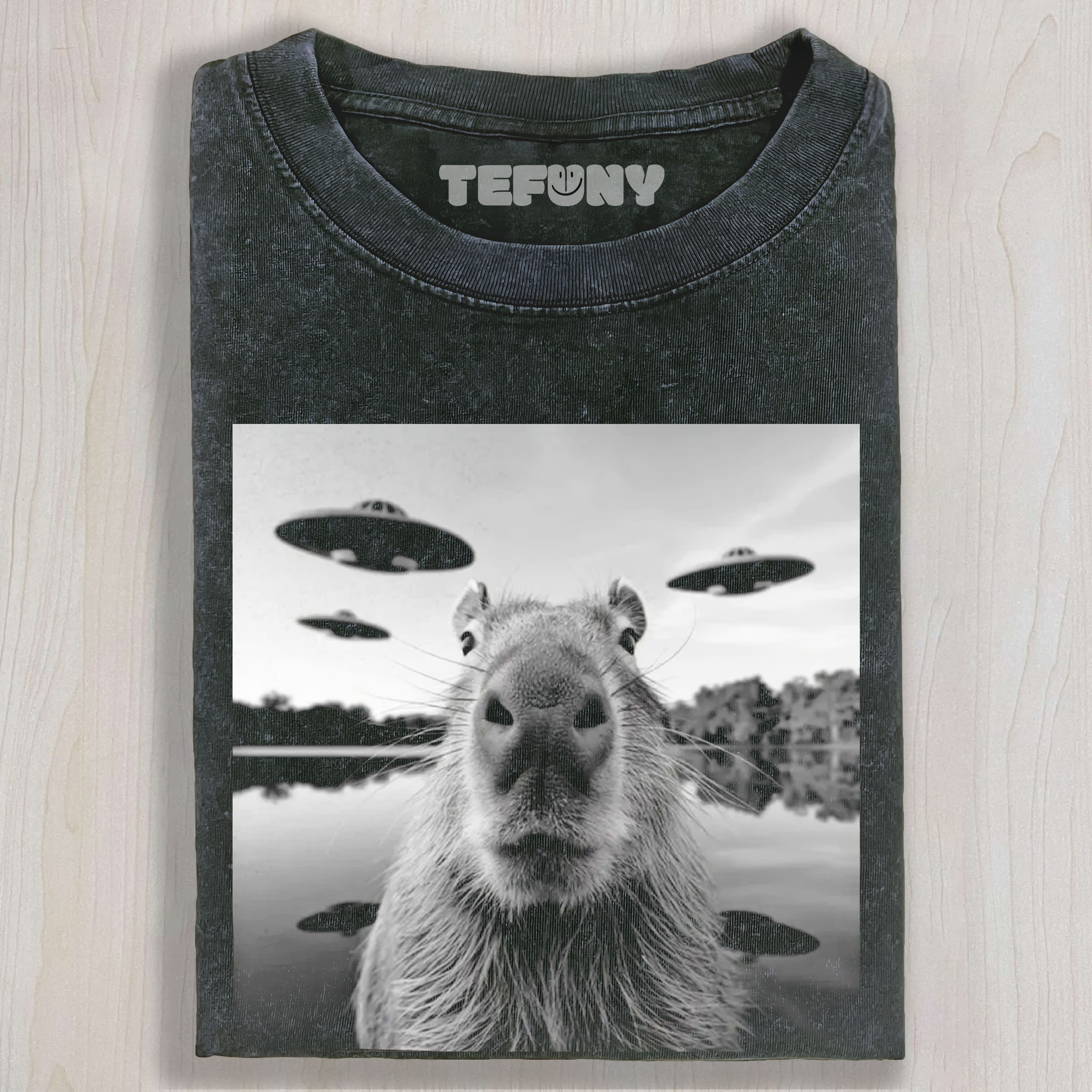CAPYBARA UFO SELFIE GRAPHIC VINTAGE WASHED UNISEX TEE, TANK TOP, LAYERED LS, SWEATSHIRT & HOODIE