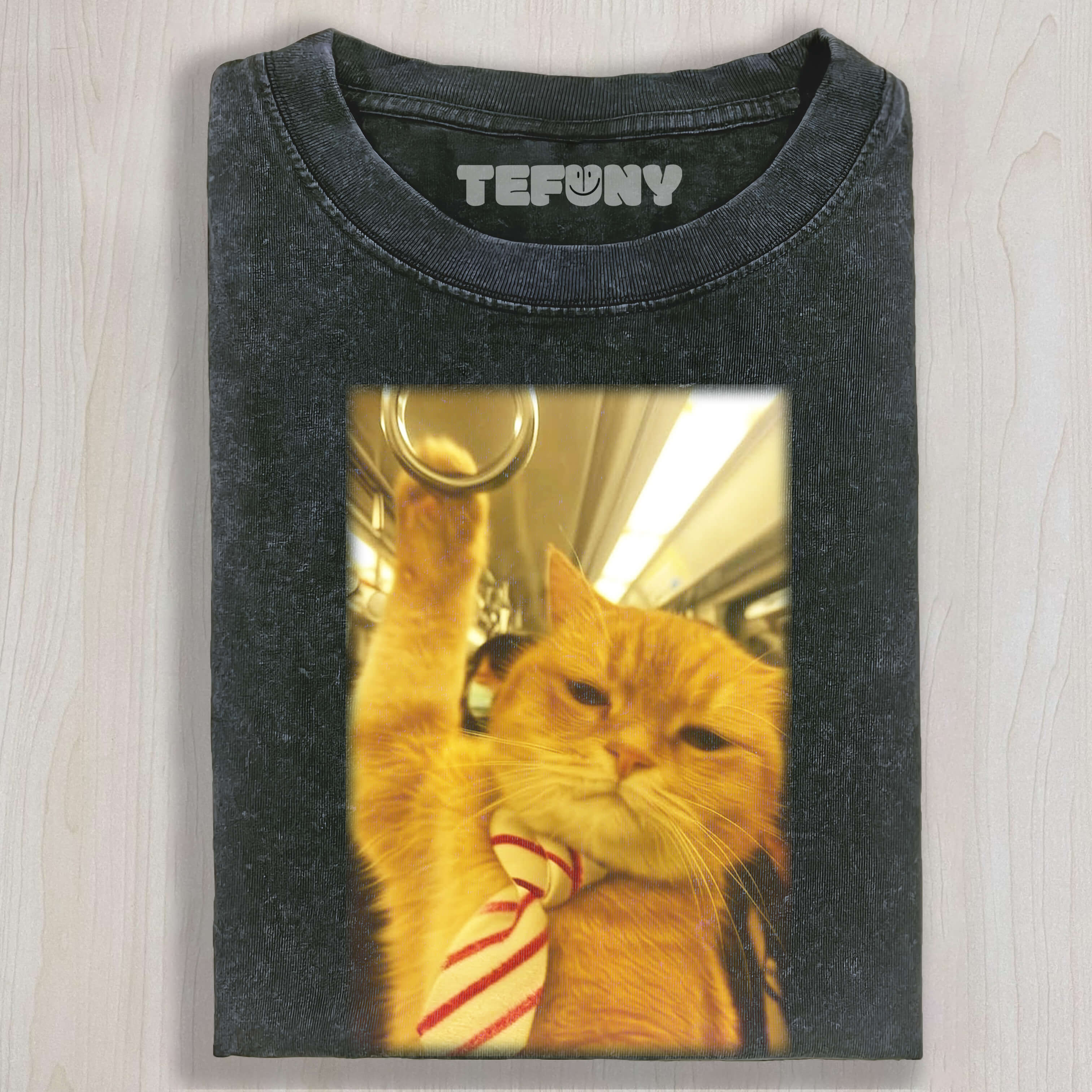 CAT ON THE SUBWAY TEE & SWEAT & HOOD