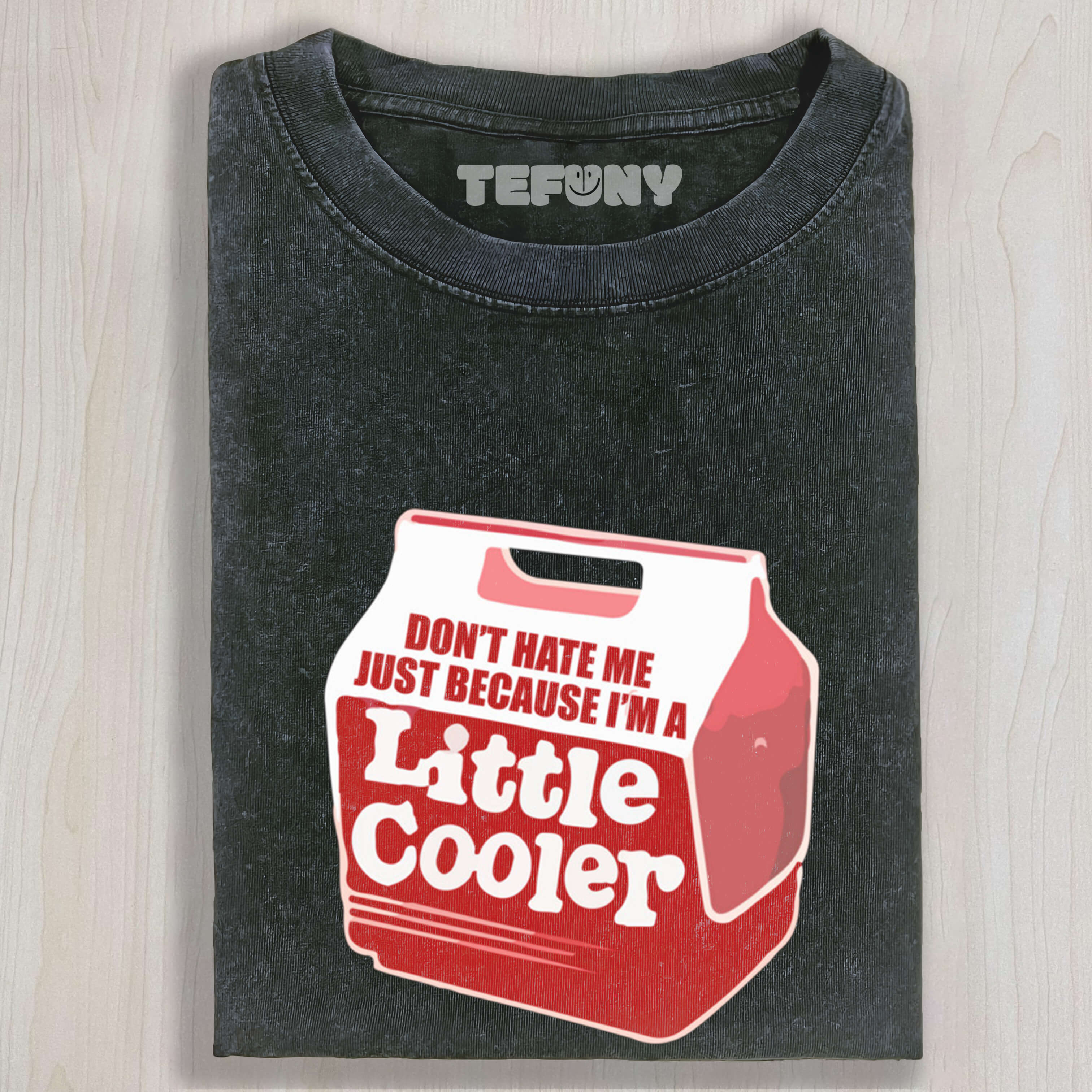 DON'T HATE ME JUST BECAUSE I'M A LITTLE COOLER TEE & SWEAT & HOOD