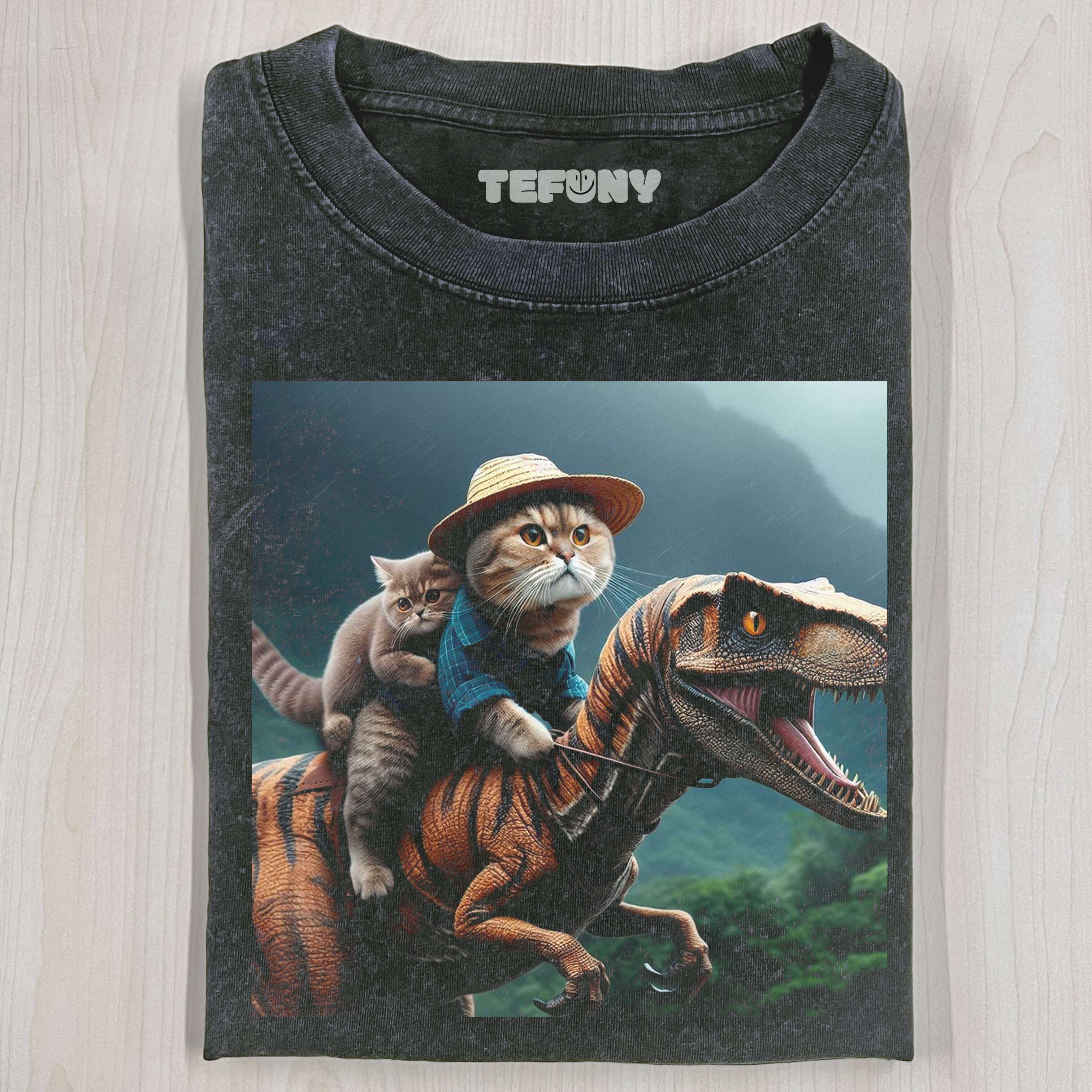 FUNNY CAT DRAGON RIDER T-THIRT