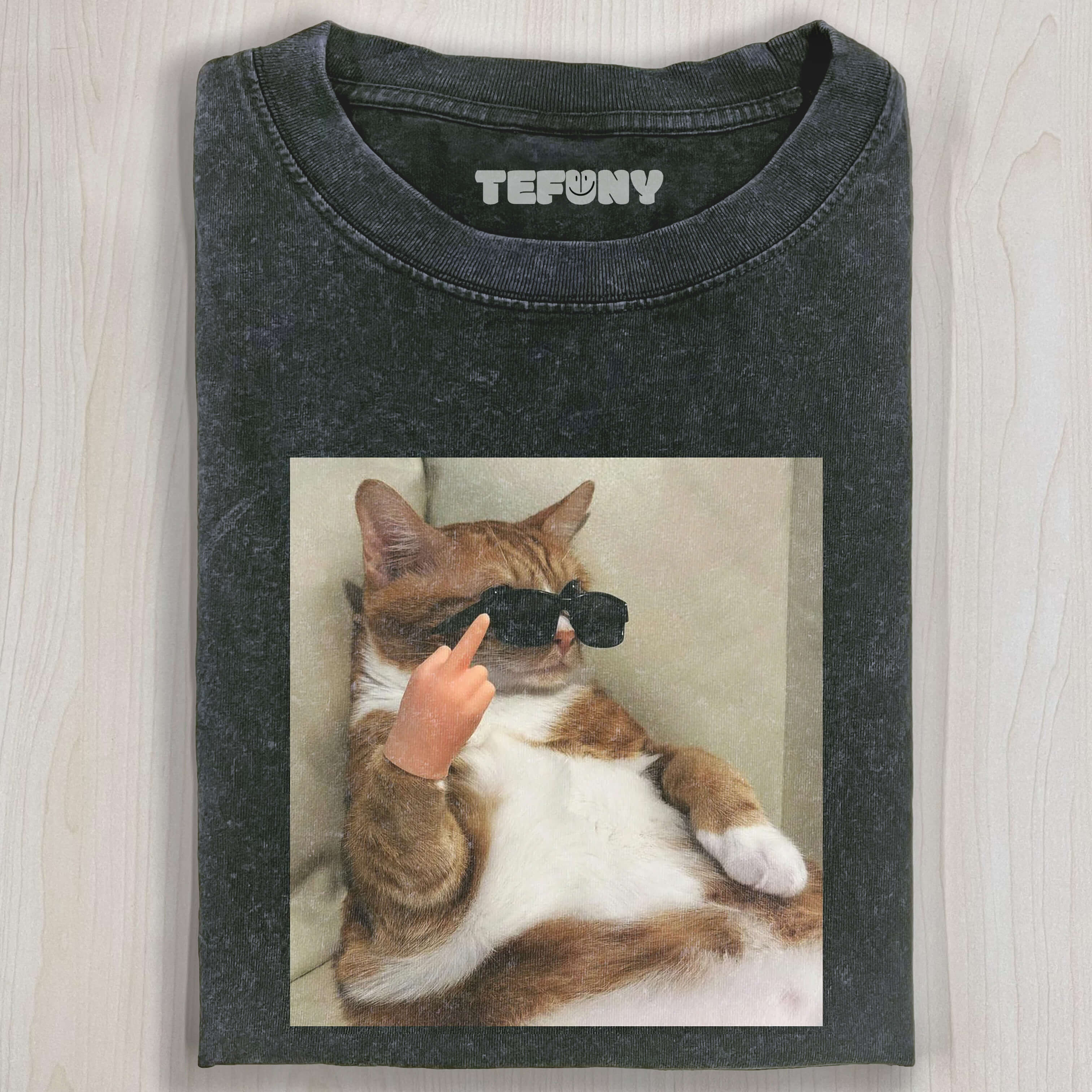 FUNNY CAT T