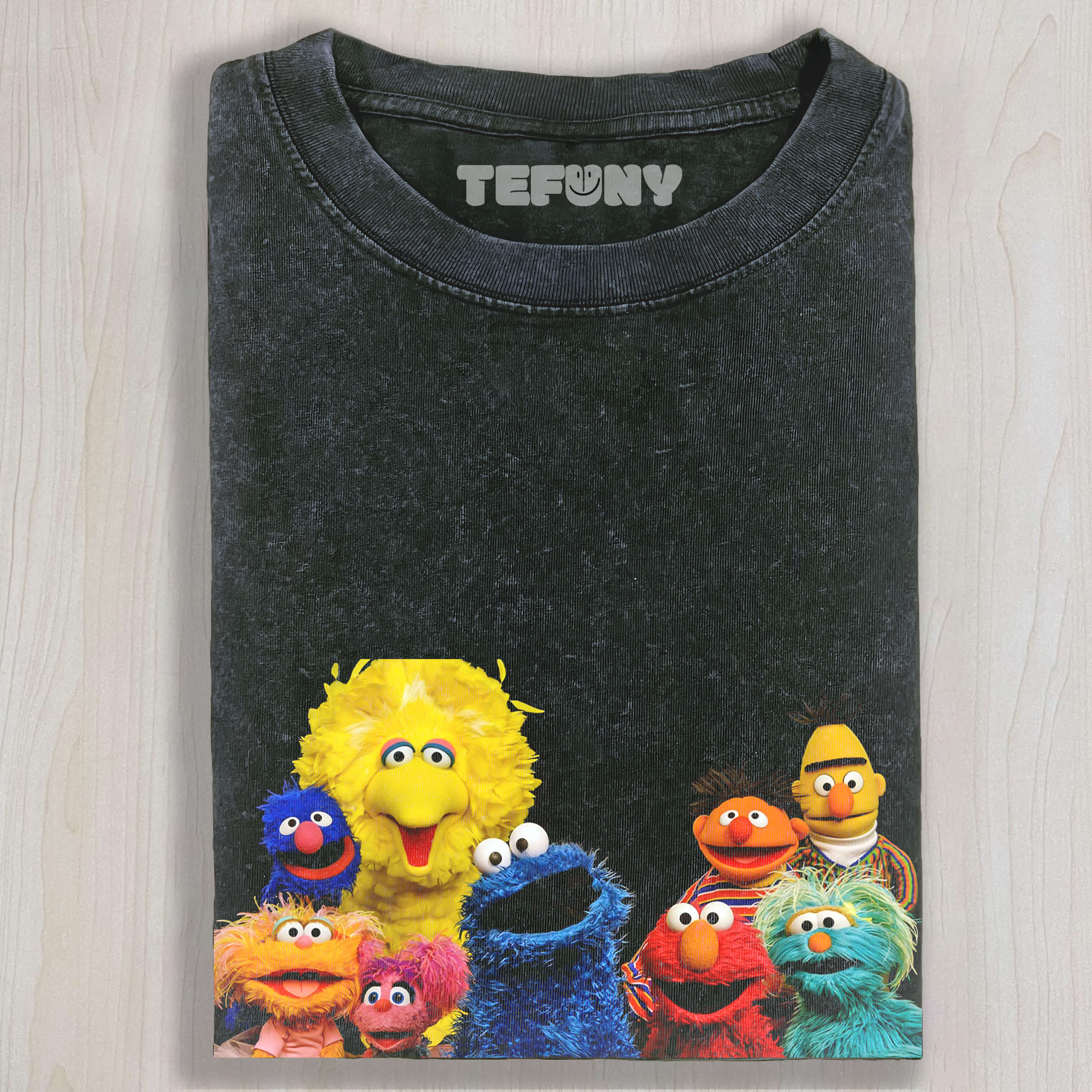 GROUP PHOTO ON SESAME STREET T-SHIRT V1
