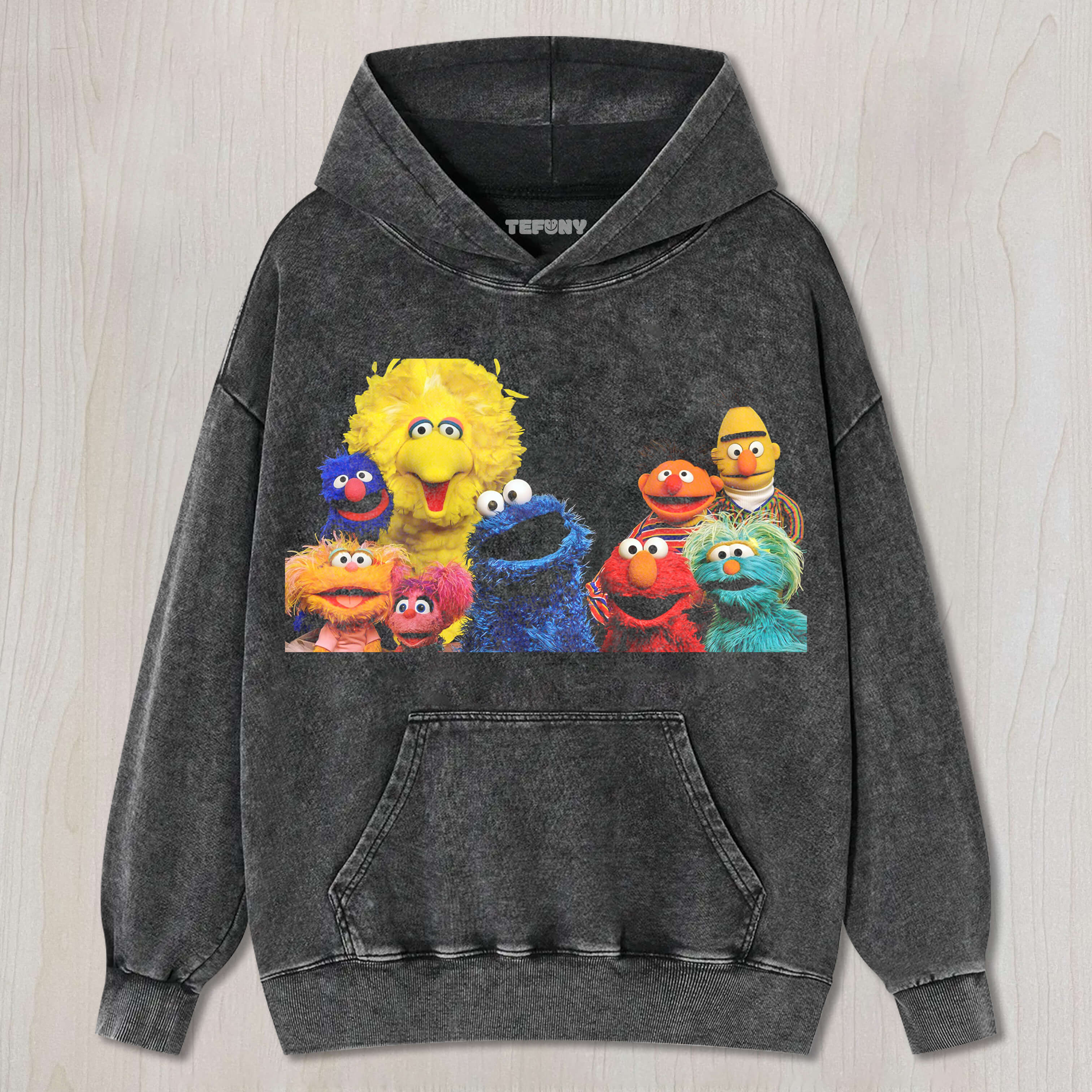 GROUP PHOTO ON SESAME STREET T-SHIRT V1