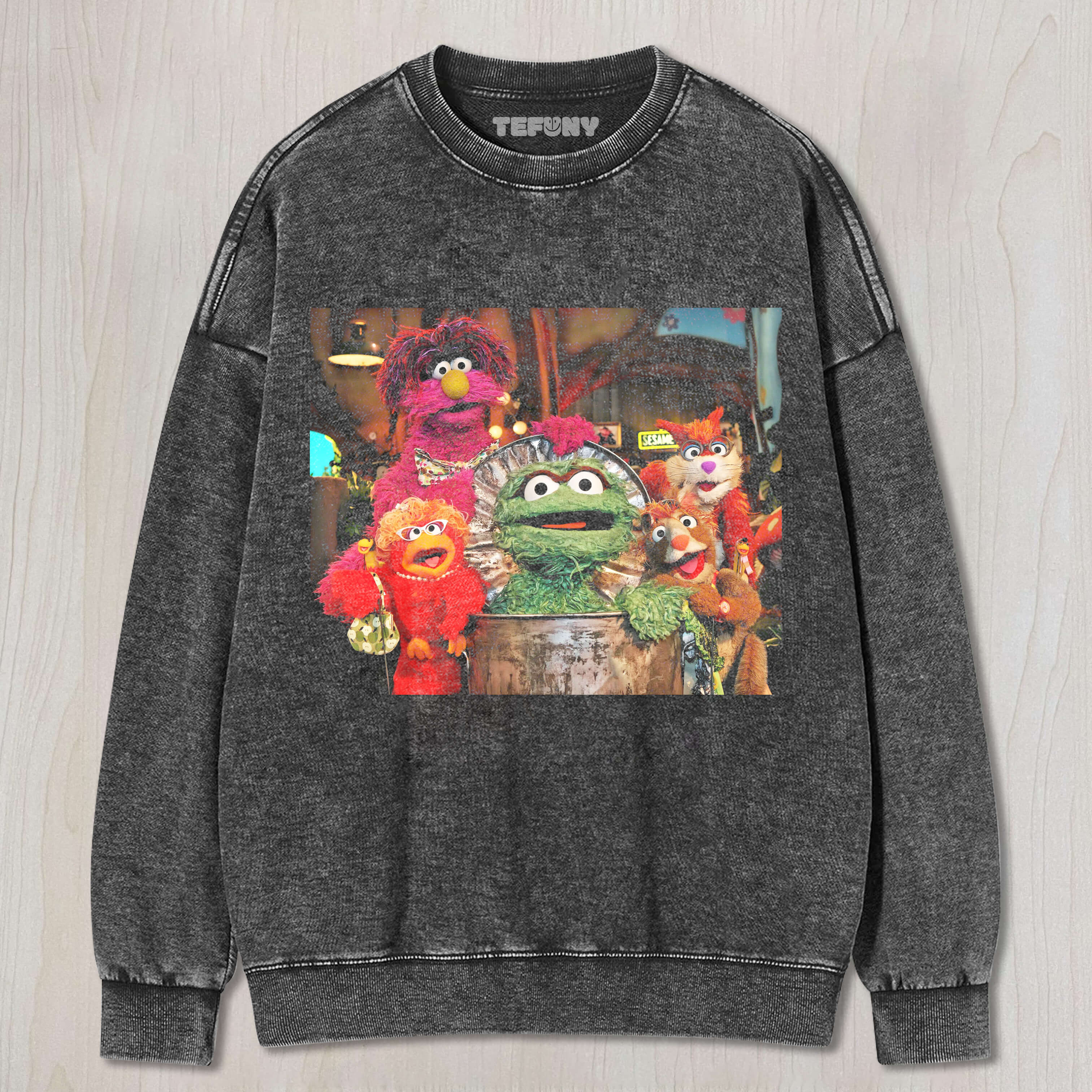GROUP PHOTO ON SESAME STREET T-SHIRT V3