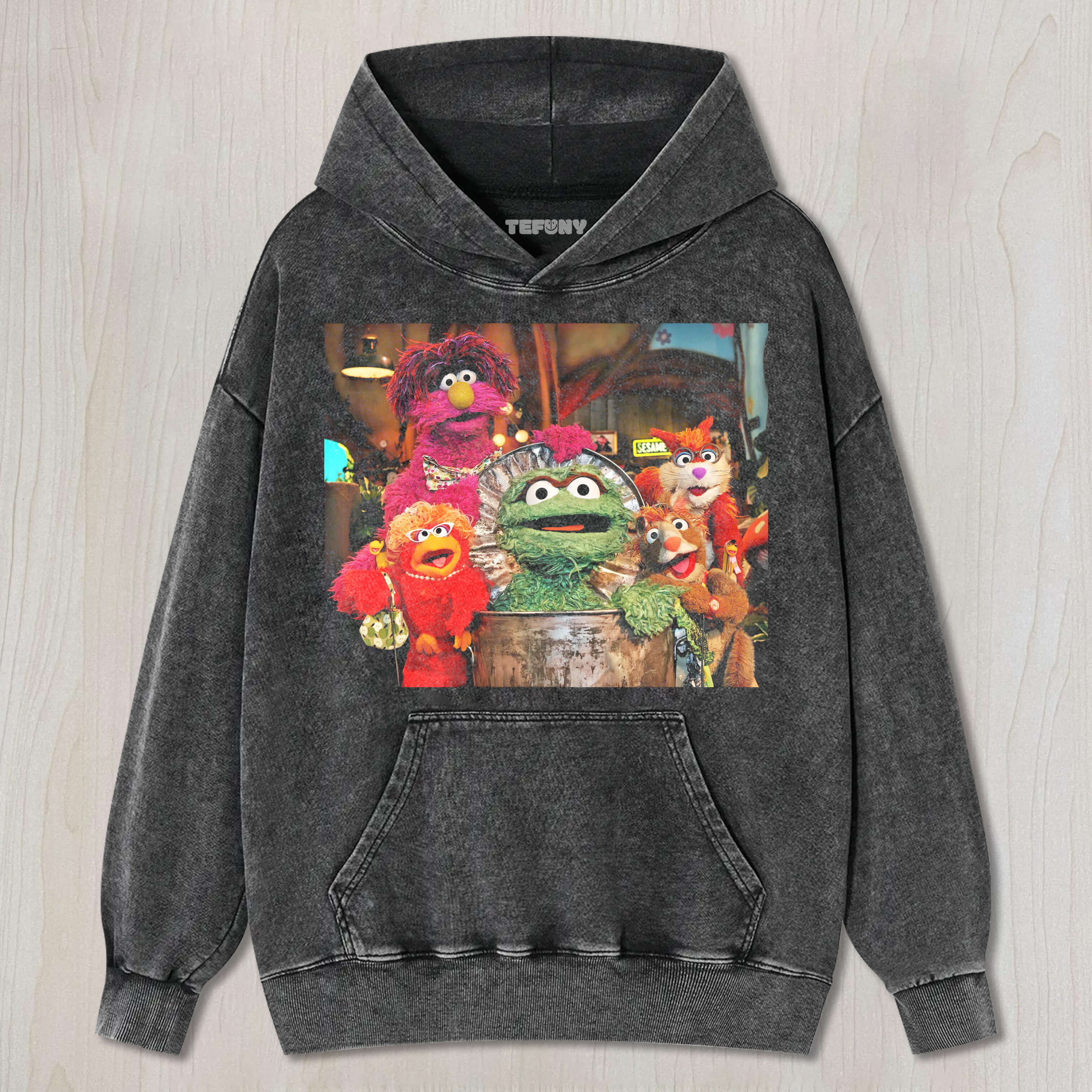 GROUP PHOTO ON SESAME STREET T-SHIRT V3