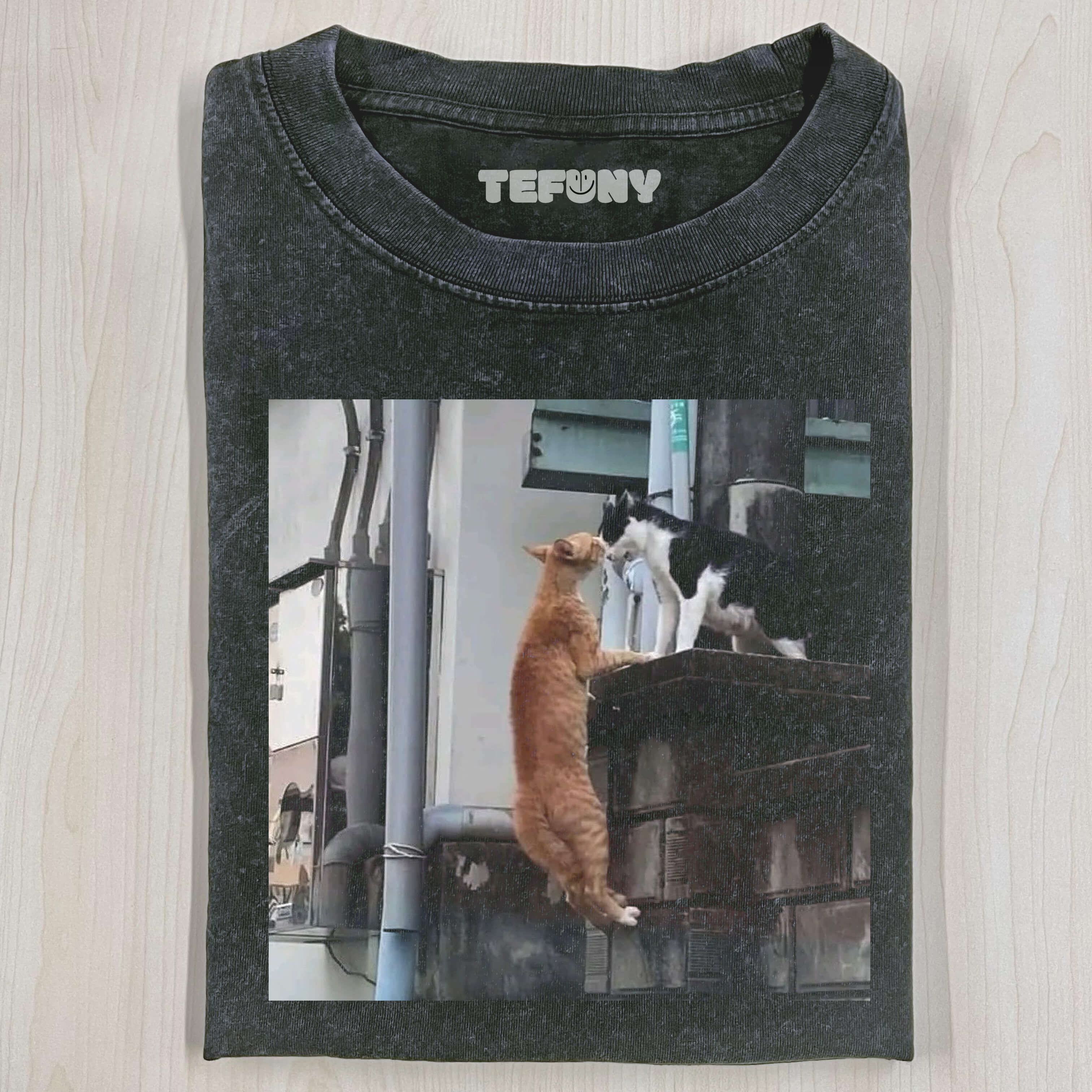 INTERESTING CATT-THIRT