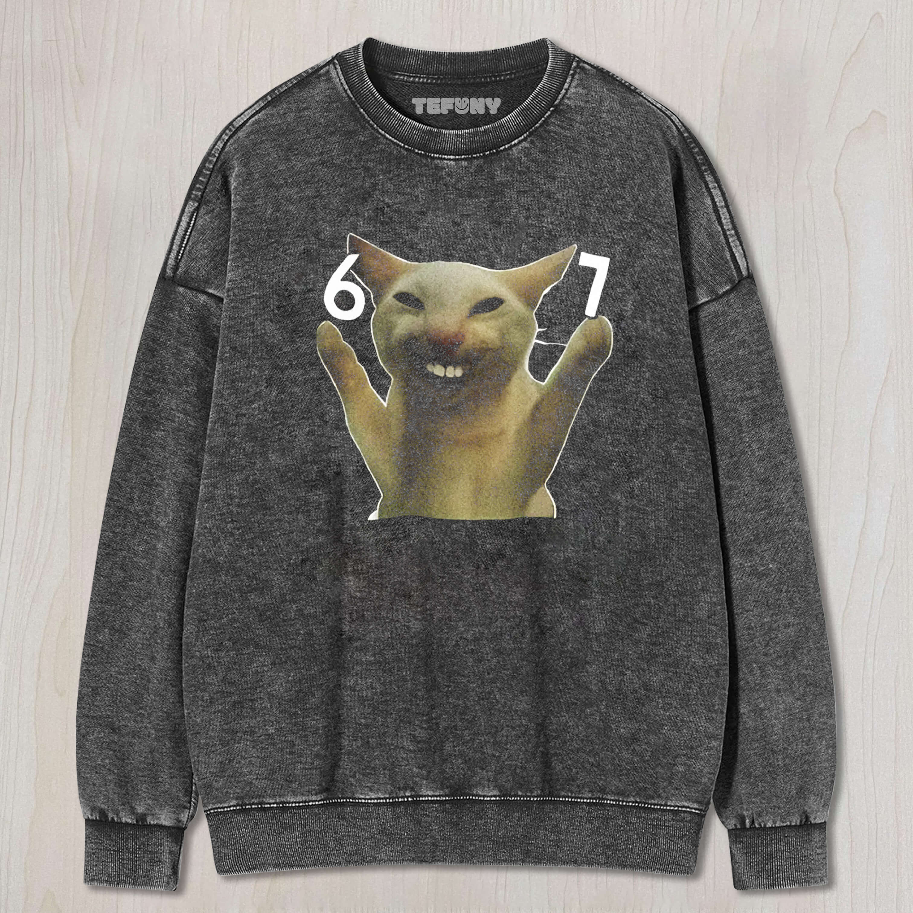 SIX SEVEN CAT MEME TEE & SWEAT & HOOD