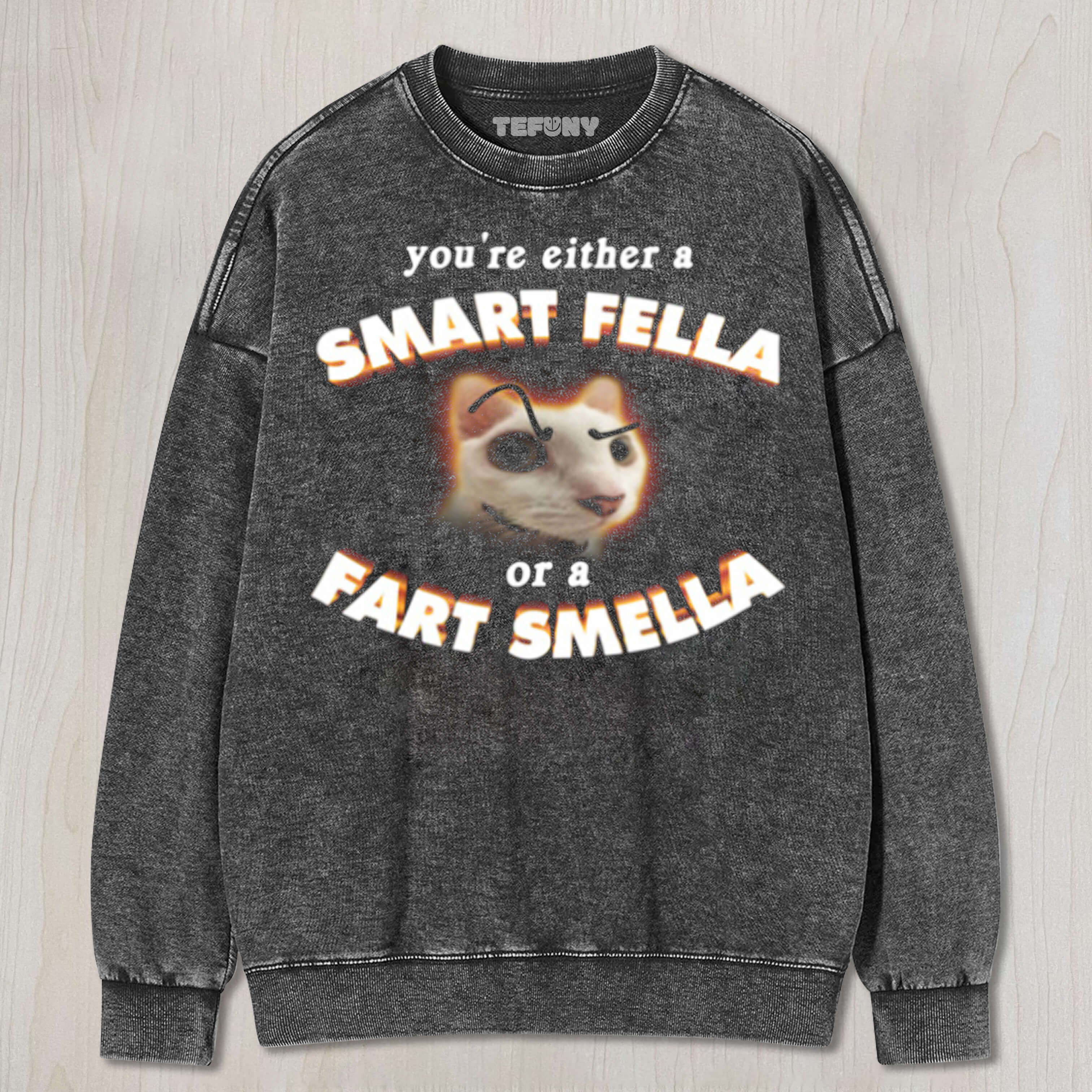 SMART FELLA CAT MEME T-SHIRT