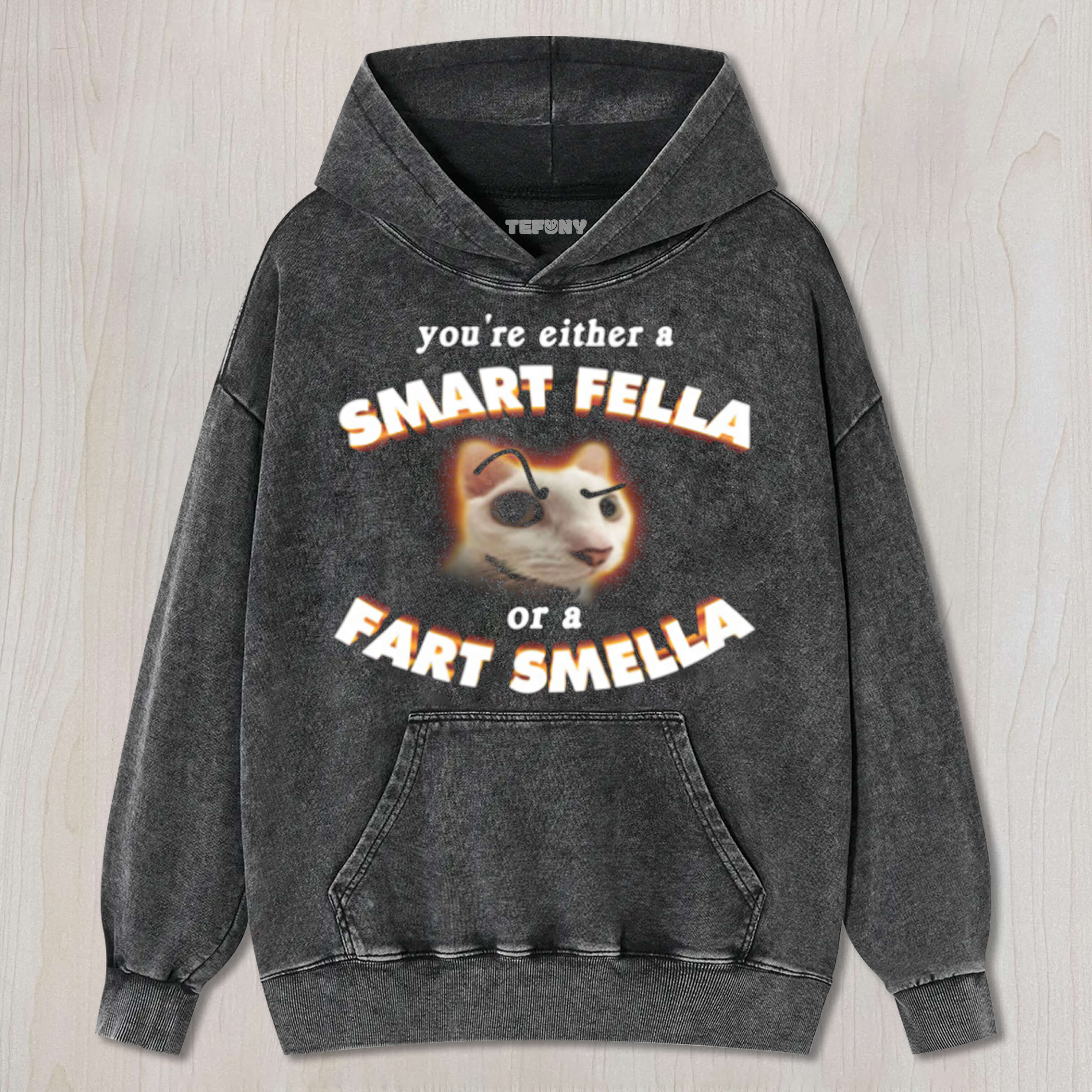 SMART FELLA CAT MEME T-SHIRT