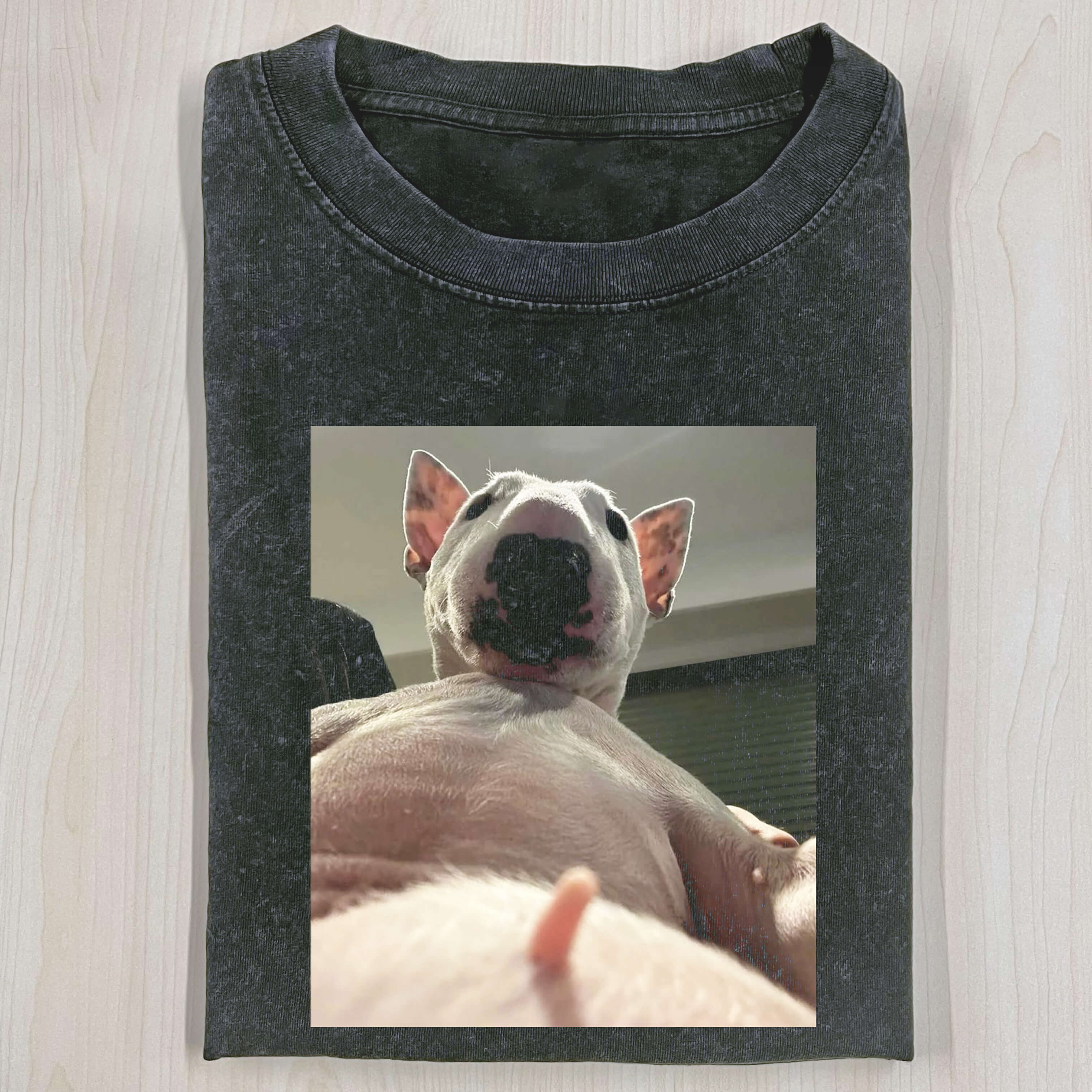 VISUAL DOG T-SHIRT