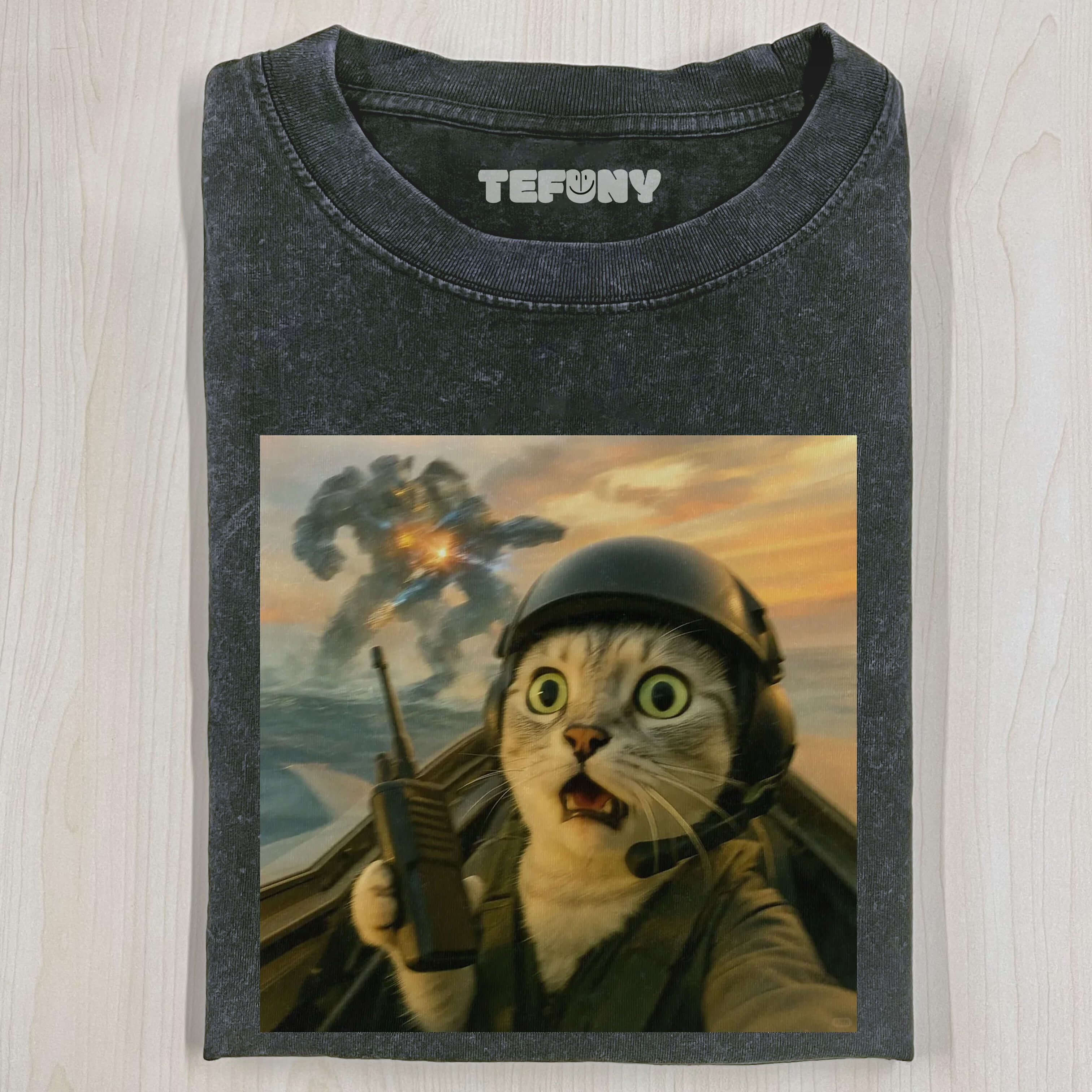WACKY CAT T-29