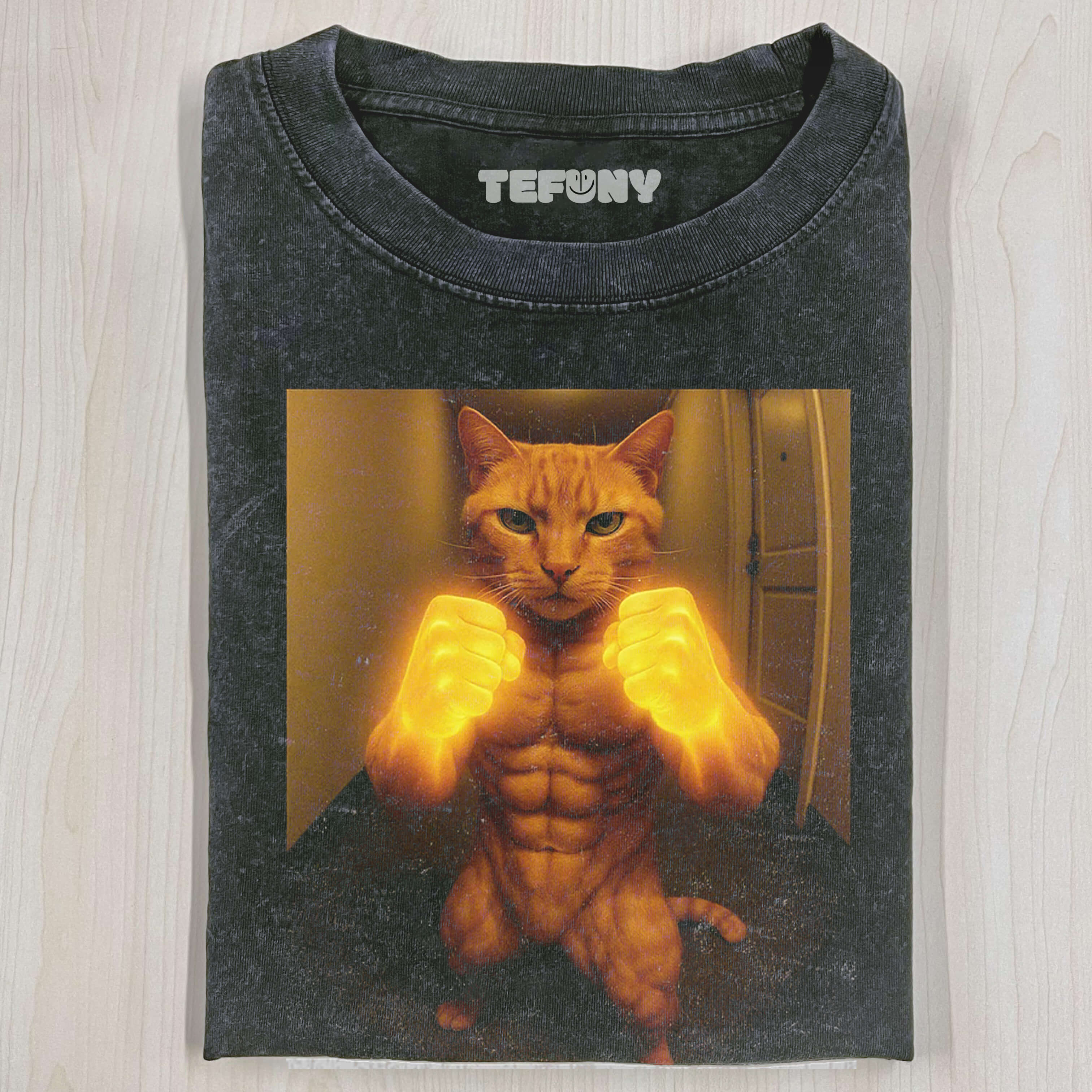 ABDOMINAL MUSCLE CAT VINTAGE T-SHIRT
