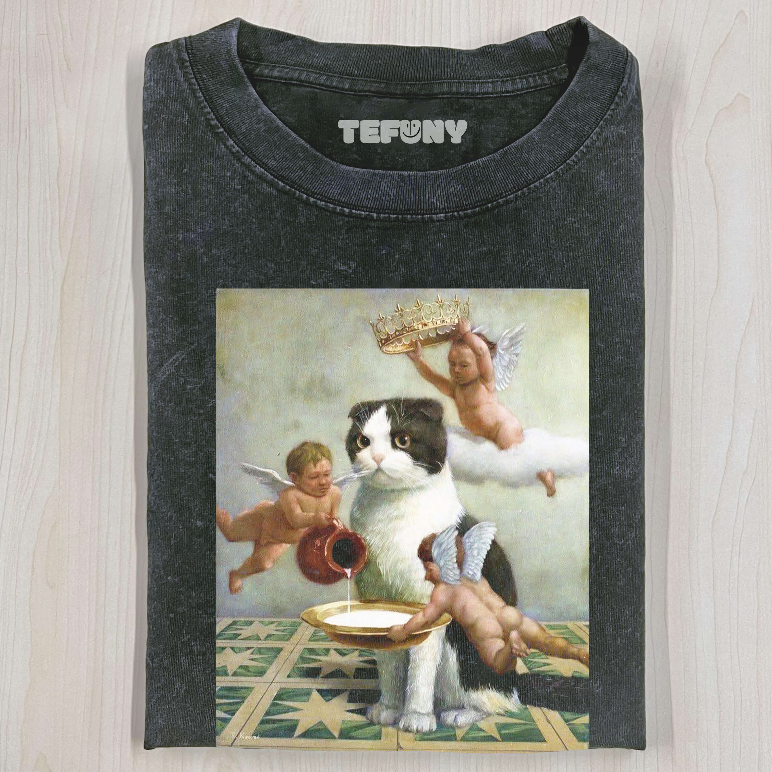 ANGEL FEEDS THE CAT T-SHIRT