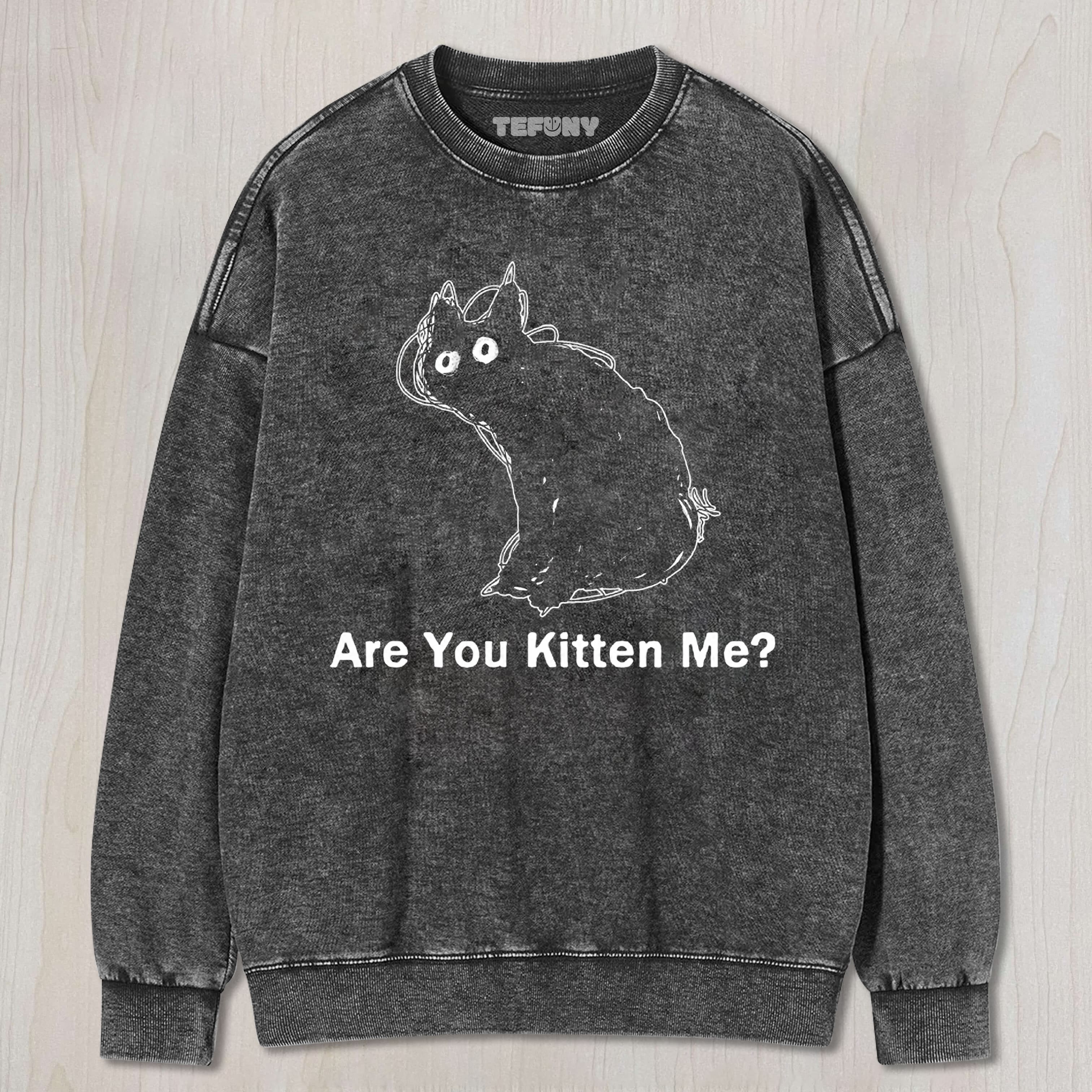 ARE YOU KITTEN ME CAT MEME UNISEX TEE, TANK TOP, LAYERED LS, SWEATSHIRT & HOODIE