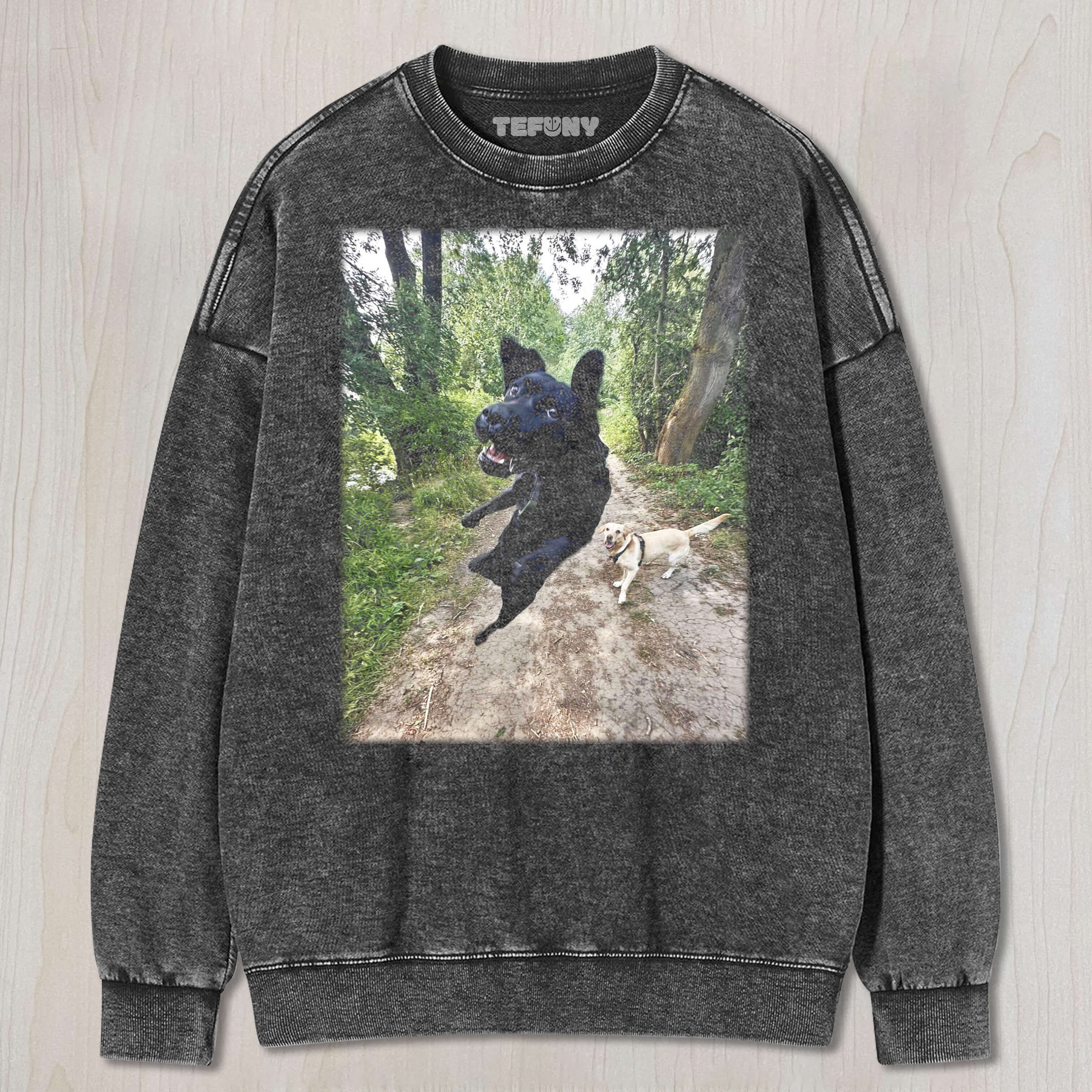 A DOG THAT FLEW OVER TEE & SWEAT & HOOD