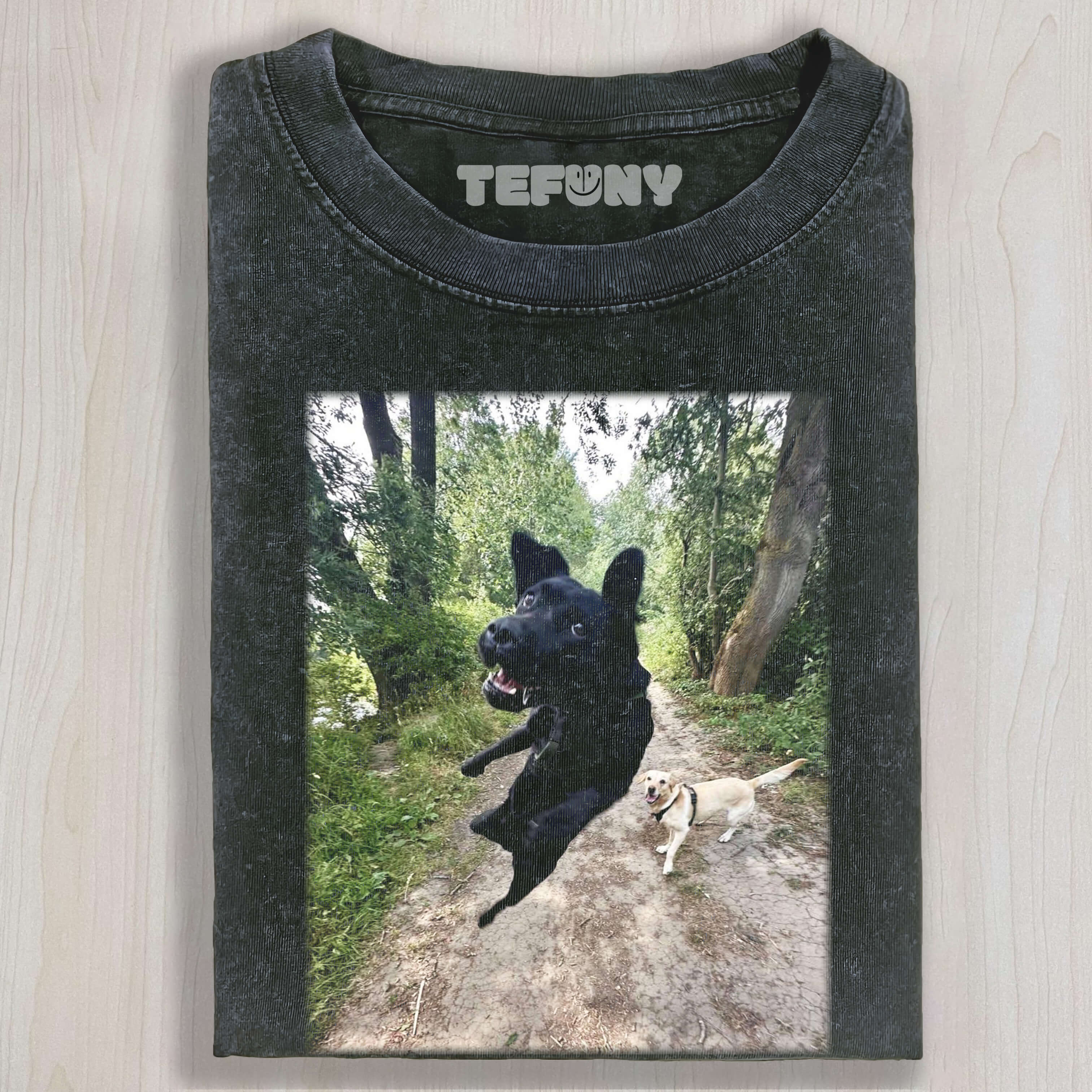 A DOG THAT FLEW OVER TEE & SWEAT & HOOD