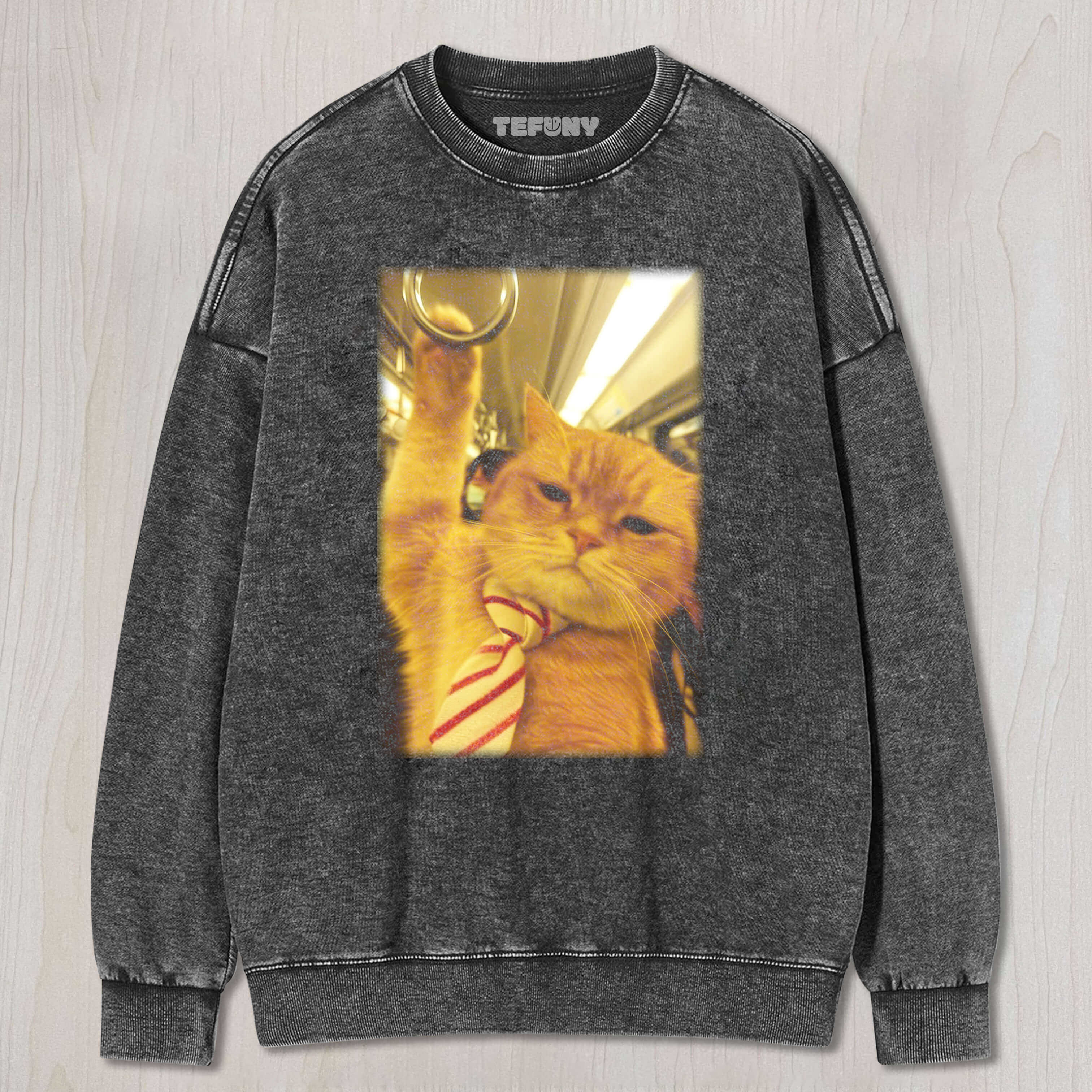 CAT ON THE SUBWAY TEE & SWEAT & HOOD