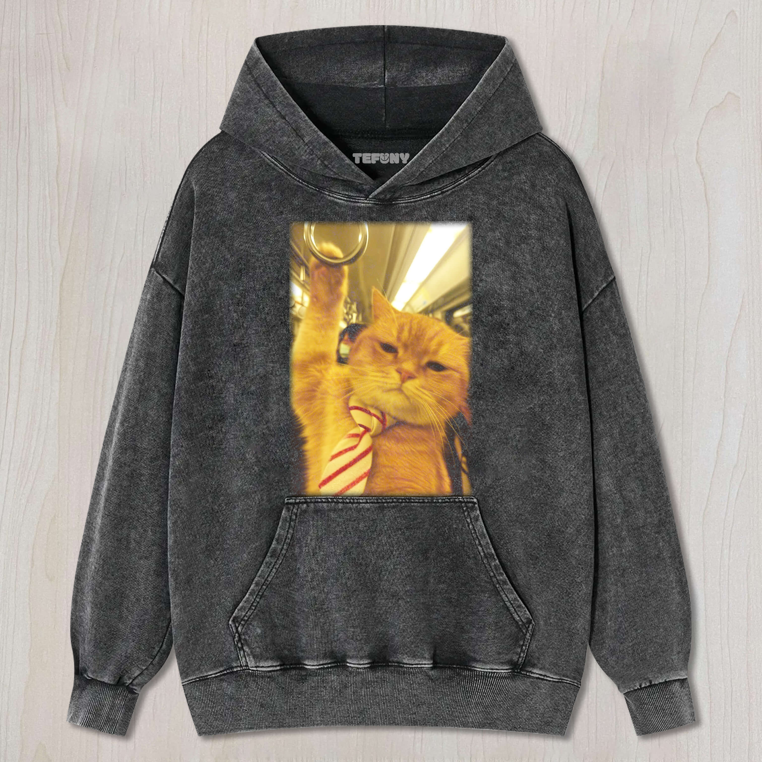 CAT ON THE SUBWAY TEE & SWEAT & HOOD