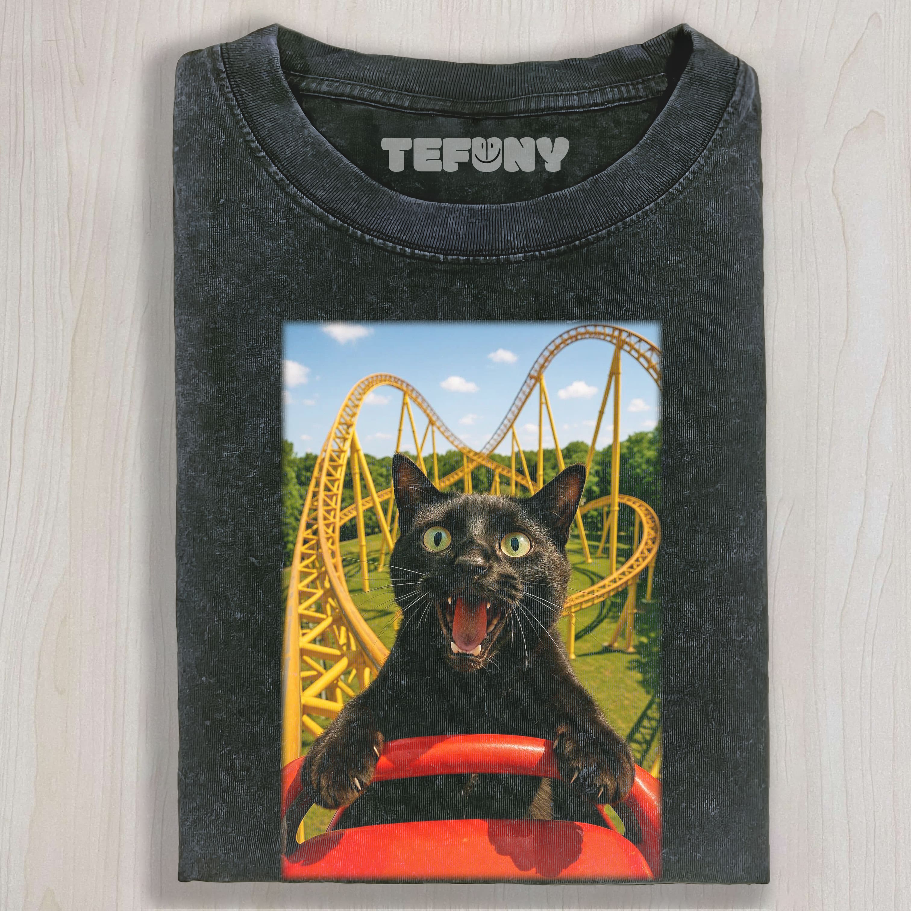 CAT ROLLER COASTER TEE & SWEAT & HOOD