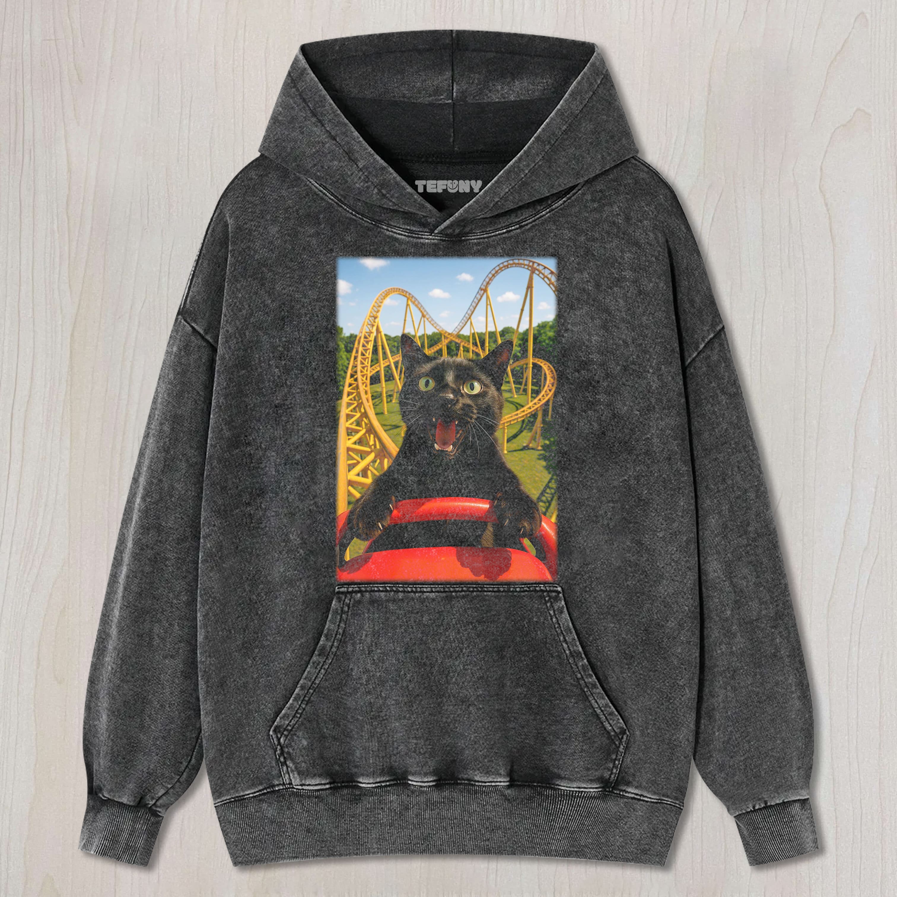 CAT ROLLER COASTER TEE & SWEAT & HOOD