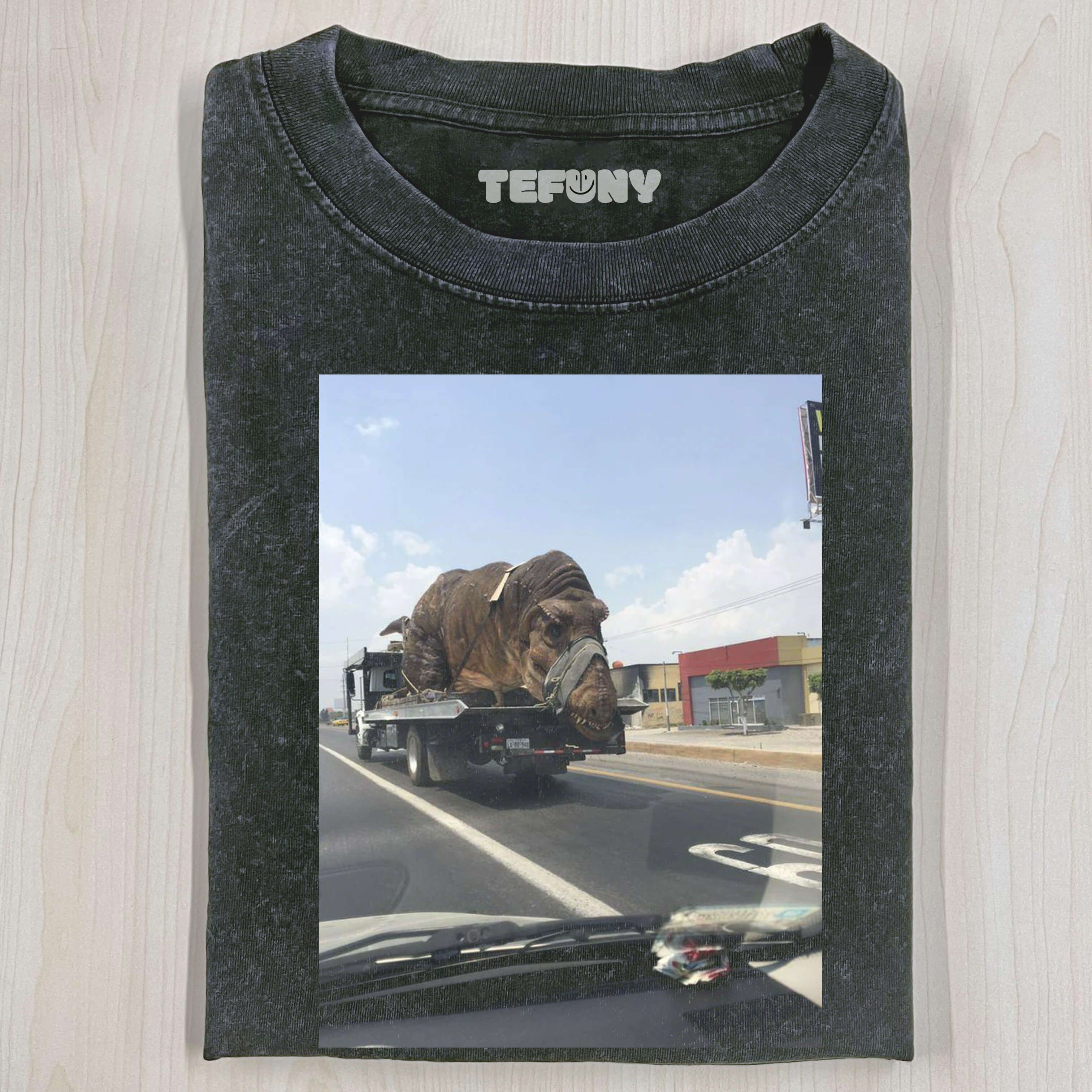 DINOSAUR T-THIRT