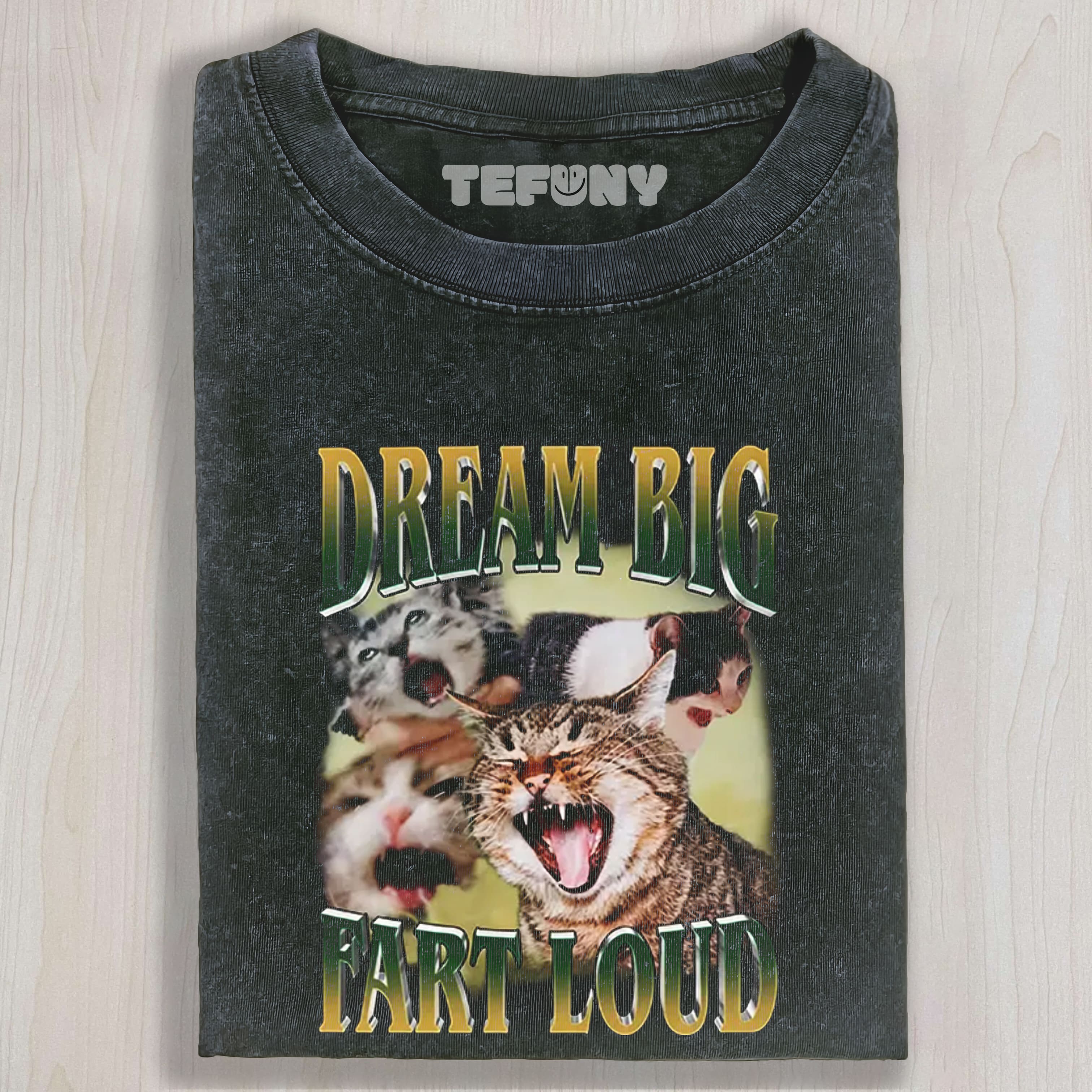 DREAM BIG FART LOUD FUNNY CAT MEME WASHED TEE & SWEAT & HOOD