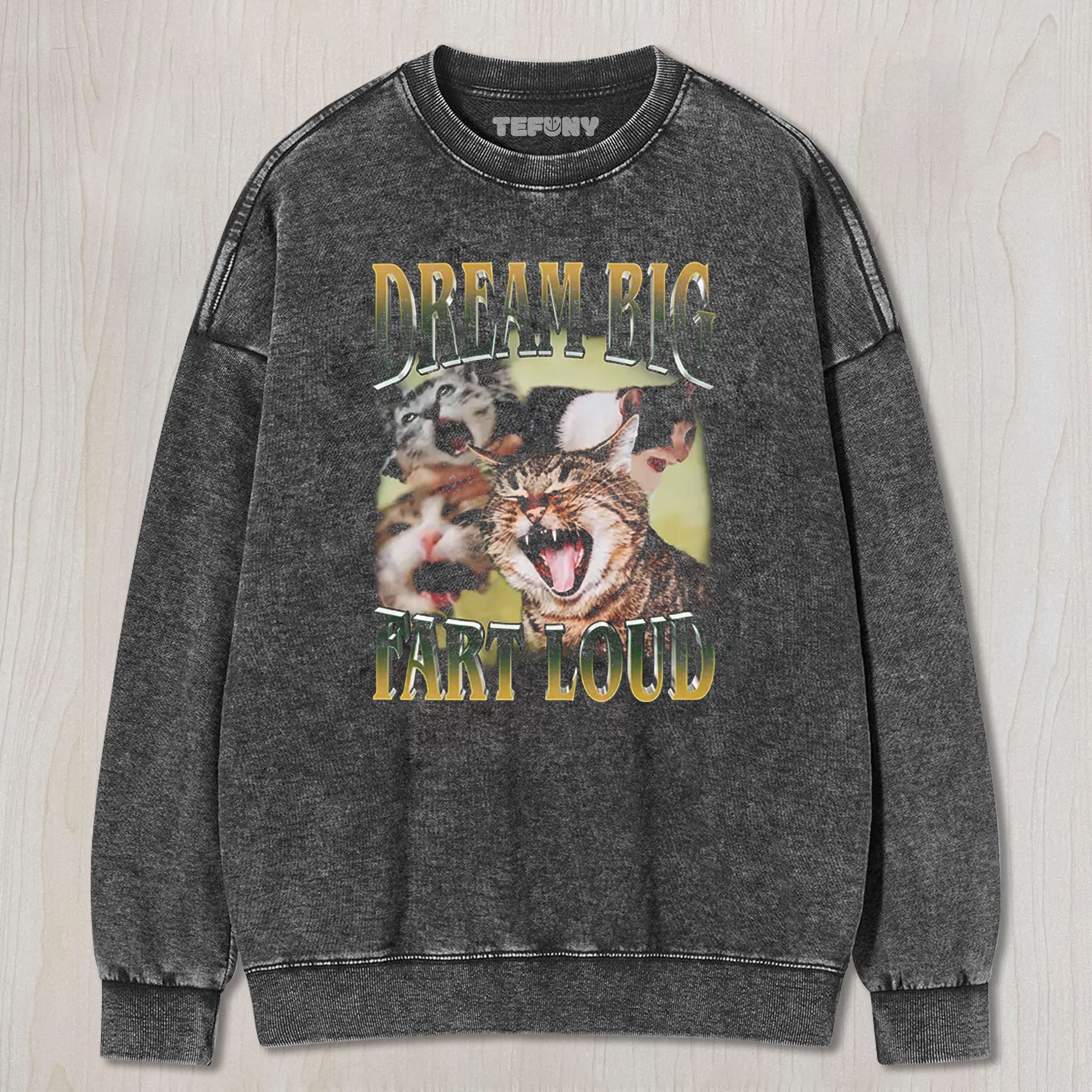 DREAM BIG FART LOUD FUNNY CAT MEME WASHED TEE & SWEAT & HOOD