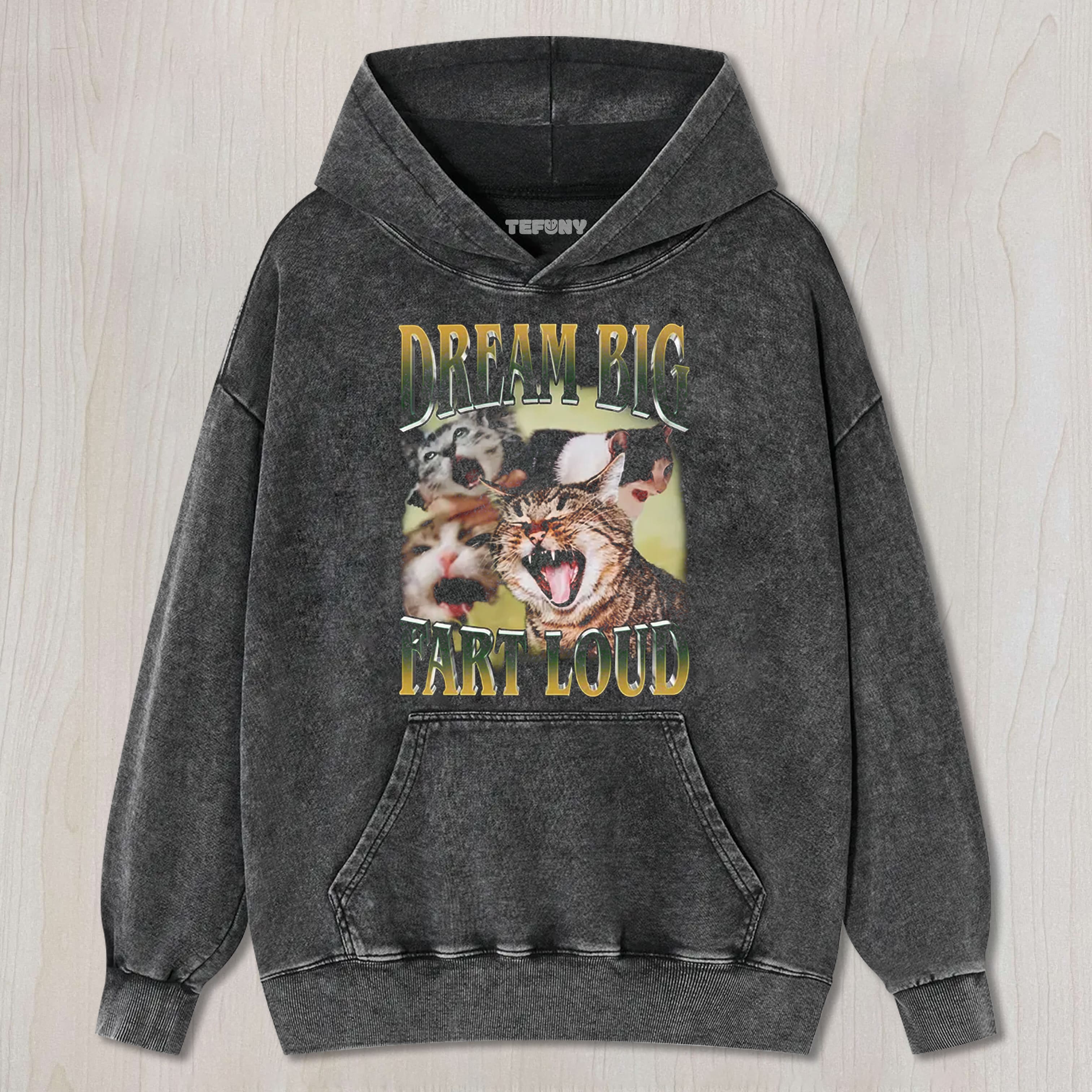 DREAM BIG FART LOUD FUNNY CAT MEME WASHED TEE & SWEAT & HOOD