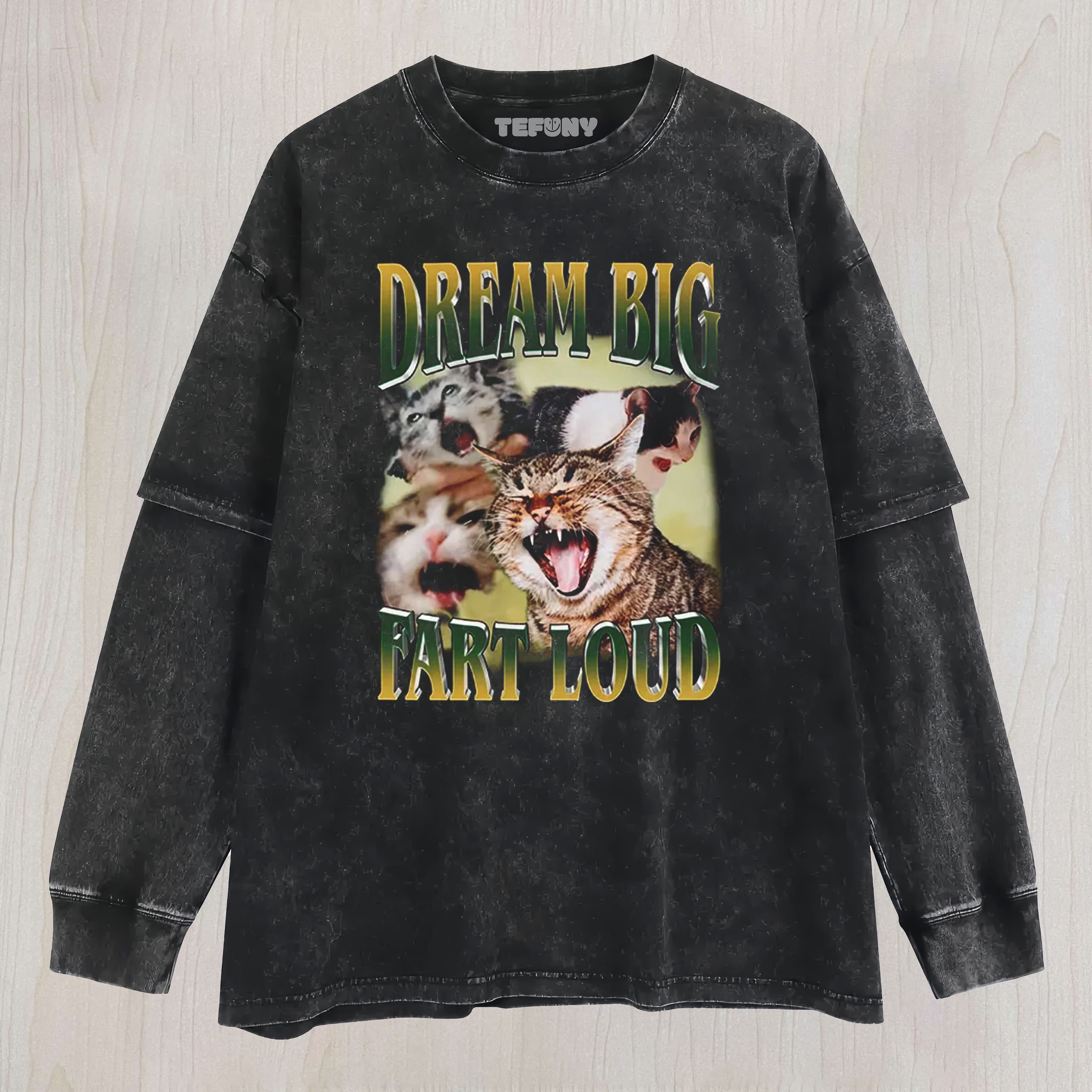 DREAM BIG FART LOUD FUNNY CAT MEME WASHED LAYERED LONG SLEEVE