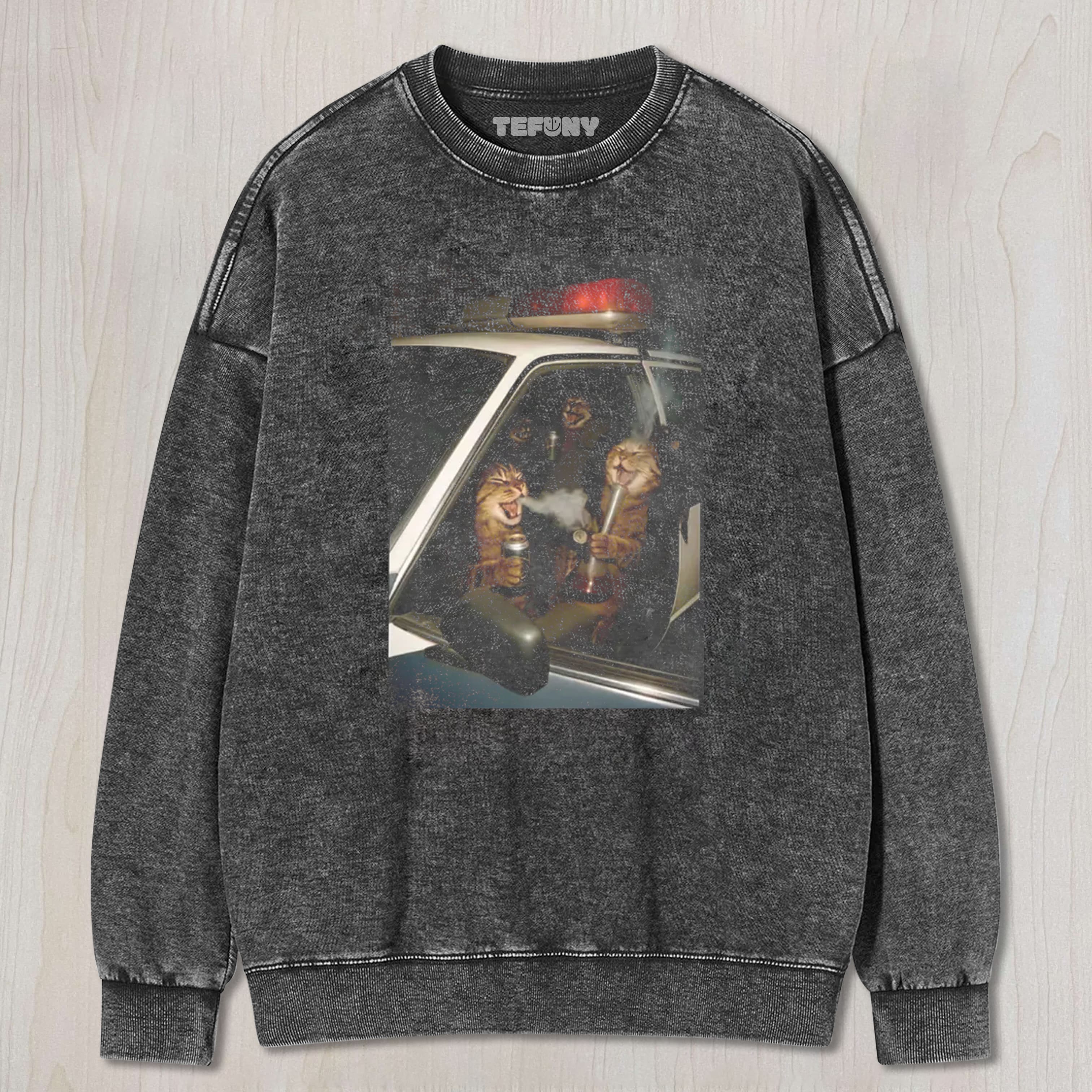 FUNNY CAT GRAPHICS WASHED TEE & SWEAT & HOOD