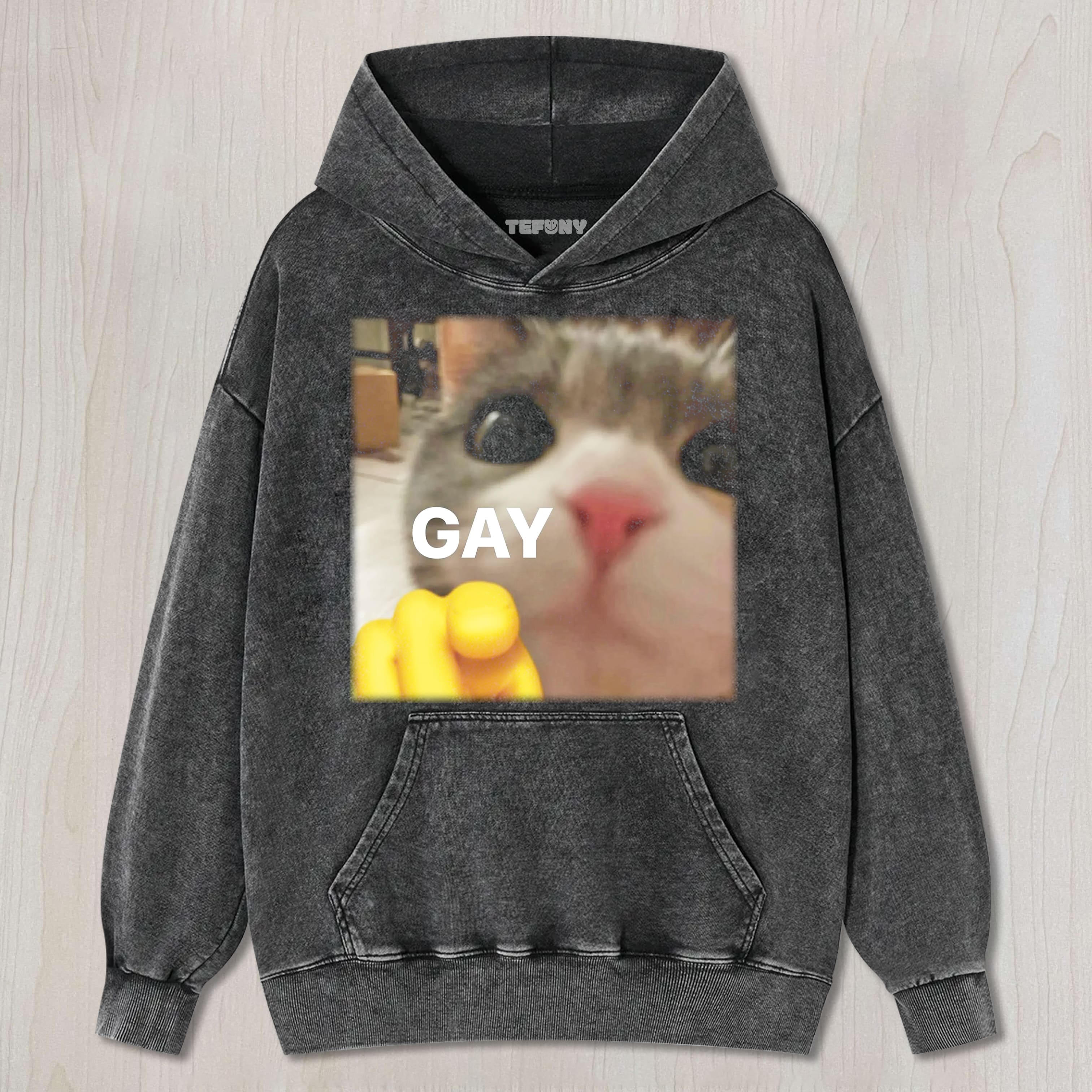 FUNNY CAT MEME GAY TEE & SWEAT & HOOD