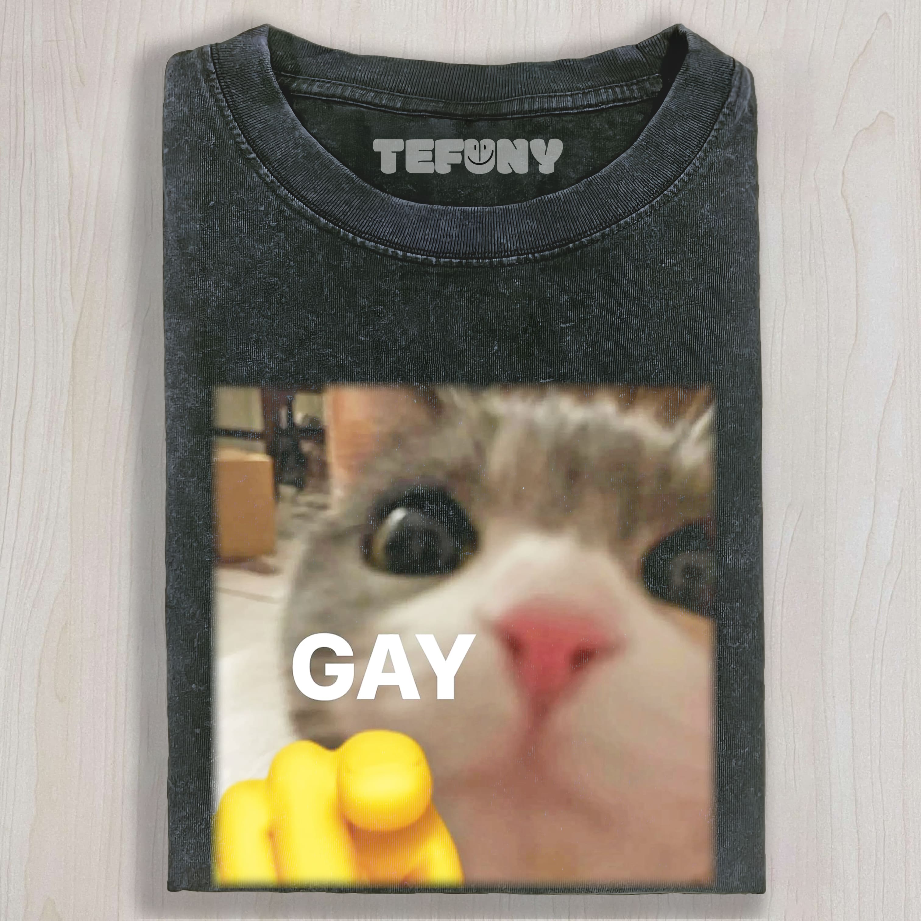 FUNNY CAT MEME GAY TEE & SWEAT & HOOD