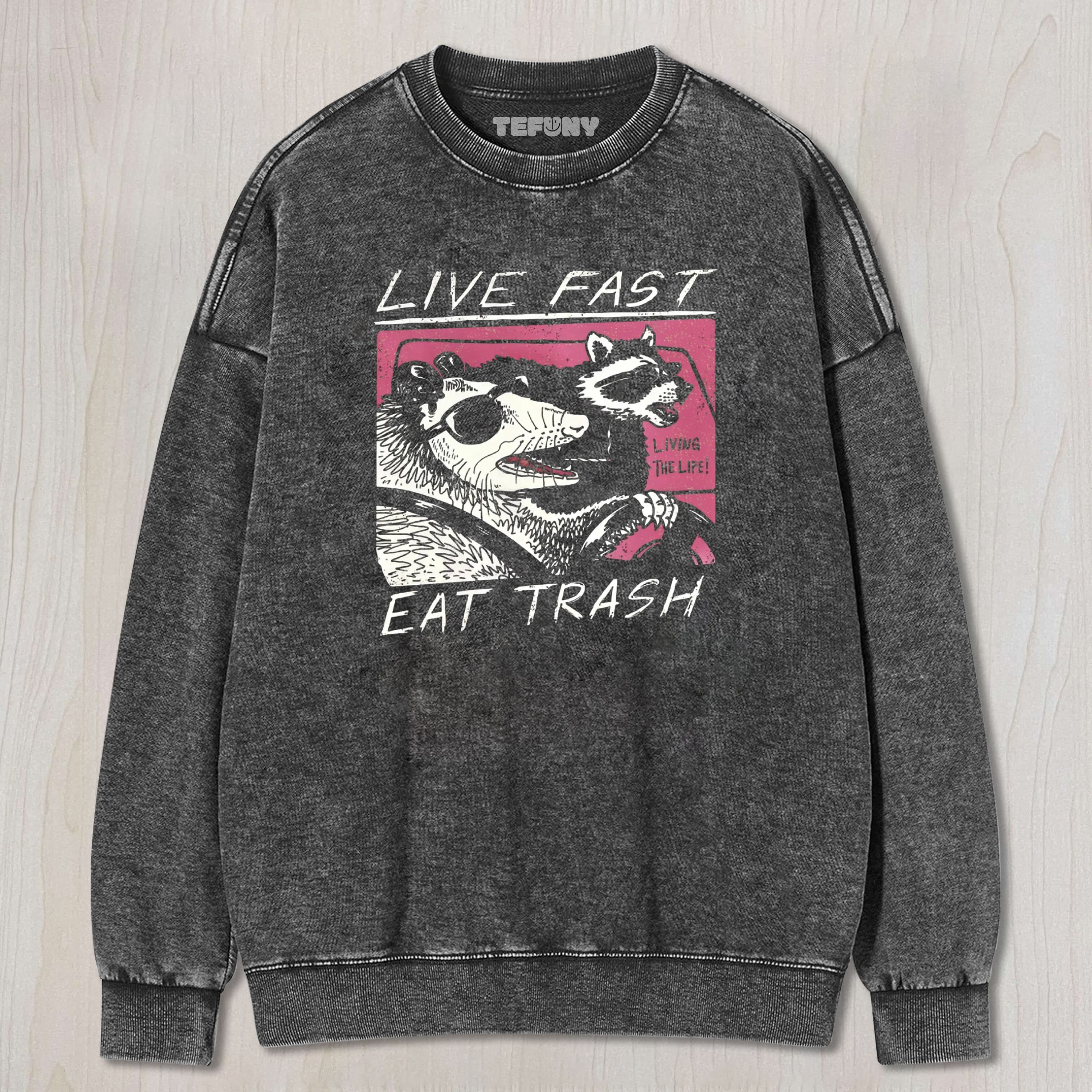 FUNNY RACCOON & POSSUM CAR GRAPHIC WASHED TEE & SWEAT & HOOD