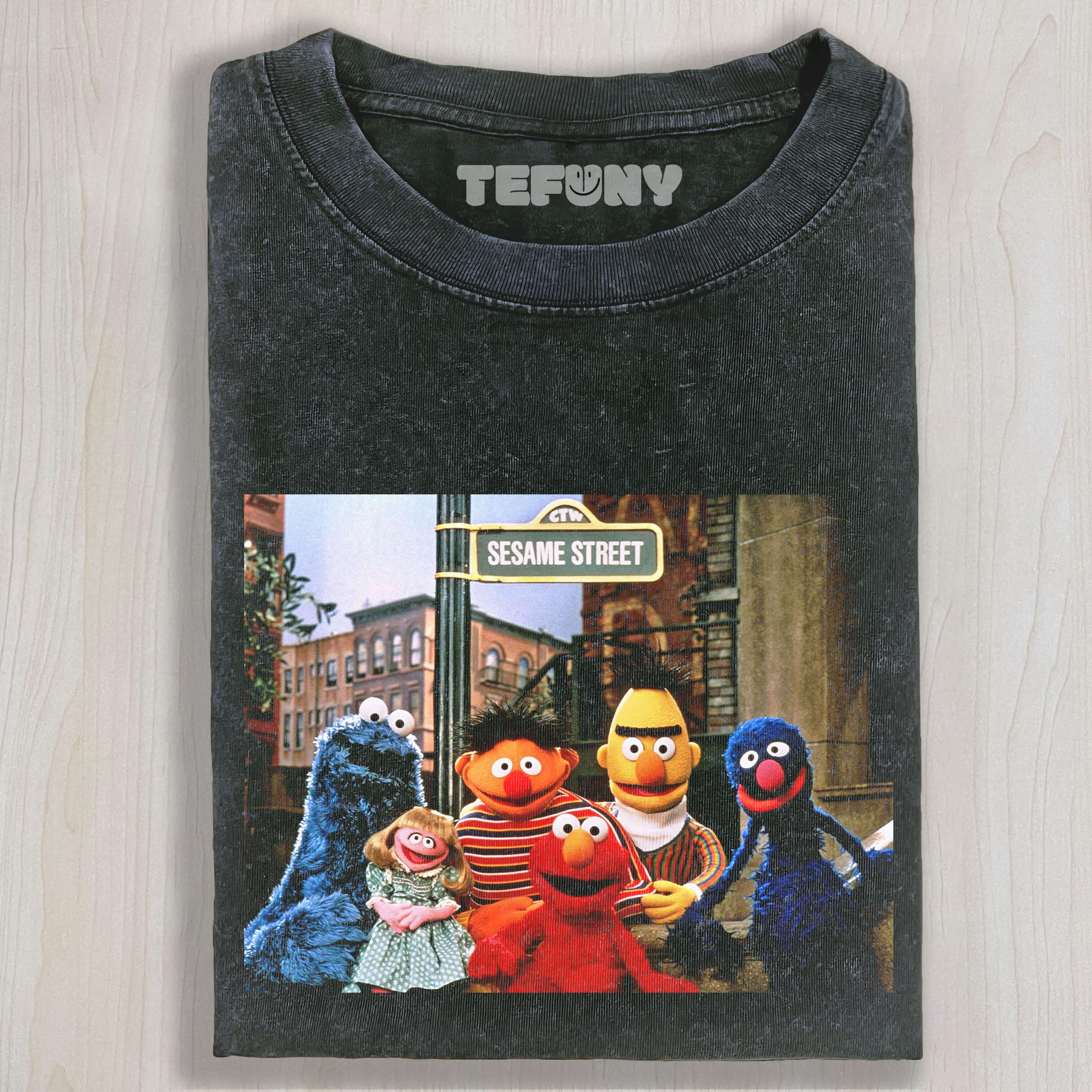 GROUP PHOTO ON SESAME STREET T-SHIRT