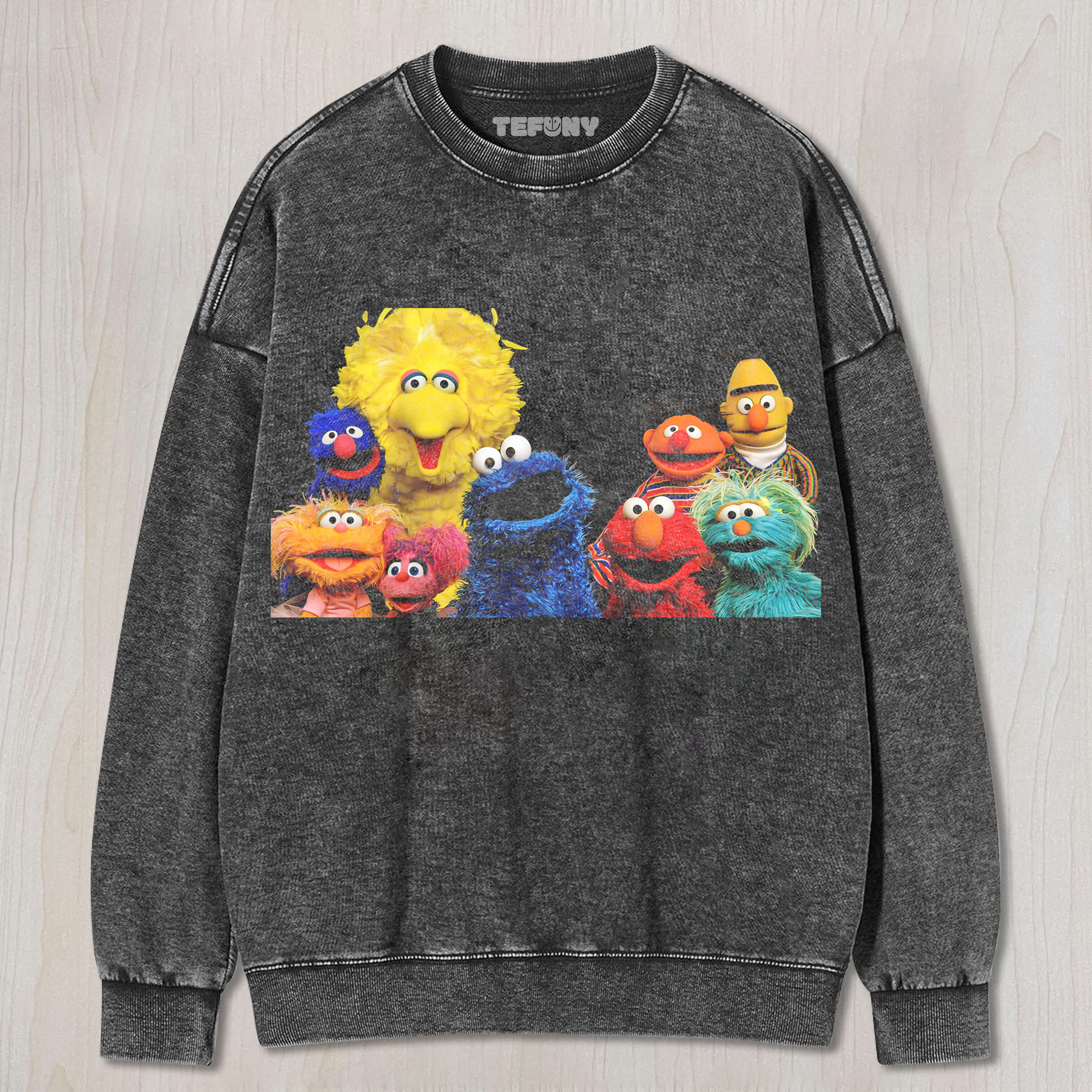 GROUP PHOTO ON SESAME STREET T-SHIRT V1
