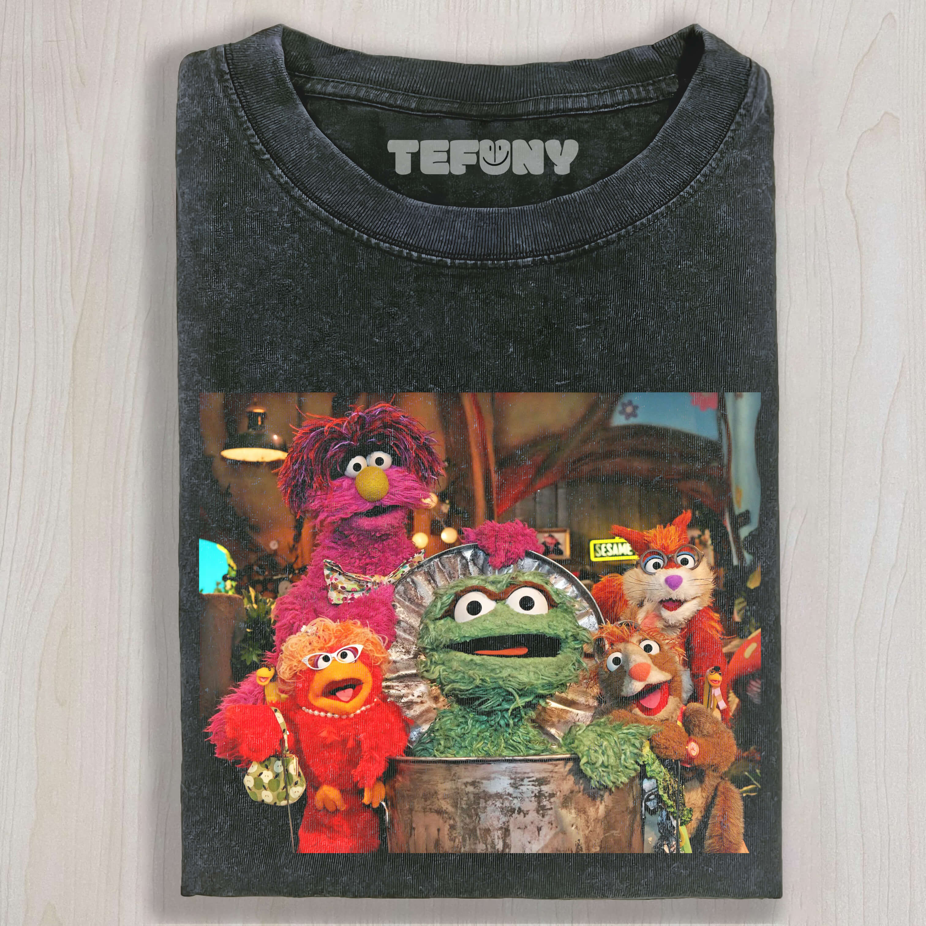 GROUP PHOTO ON SESAME STREET T-SHIRT V3
