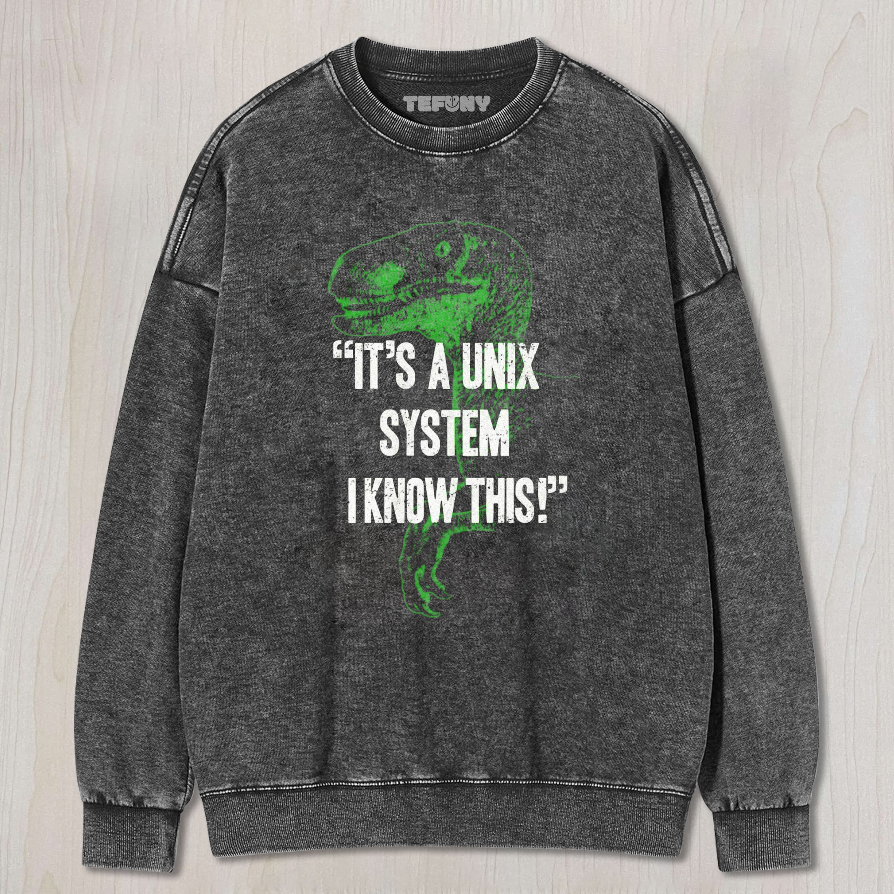 IT'S A UNIX SYSTEM RAPTOR WASHED TEE & SWEAT & HOOD