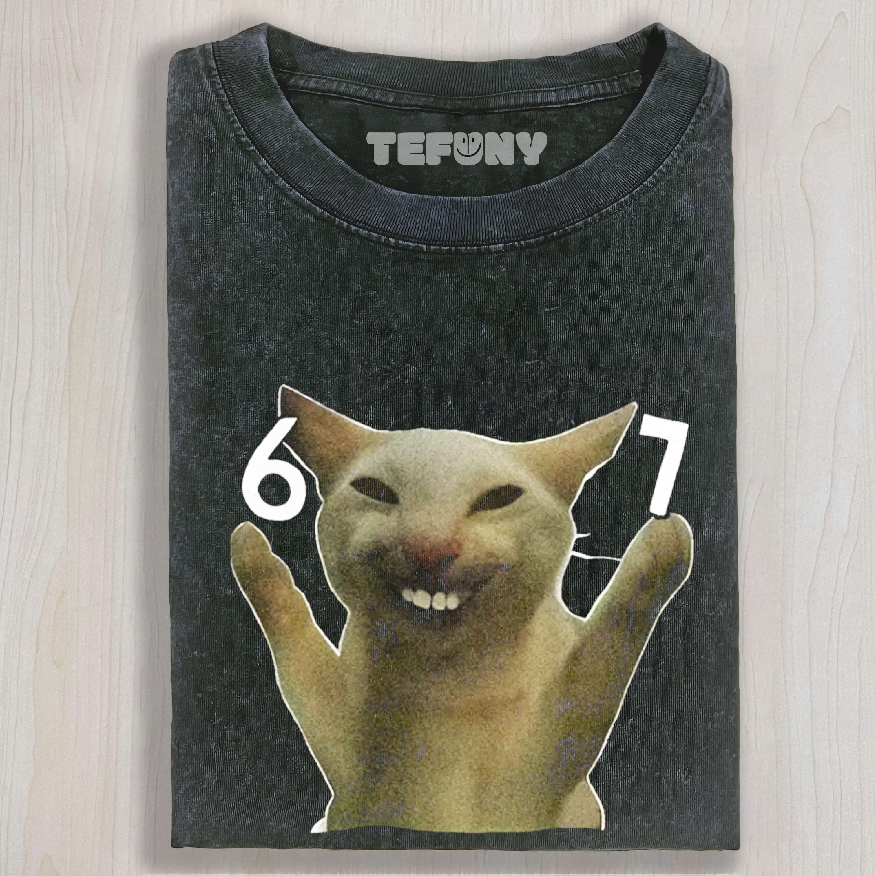 SIX SEVEN CAT MEME TEE & SWEAT & HOOD
