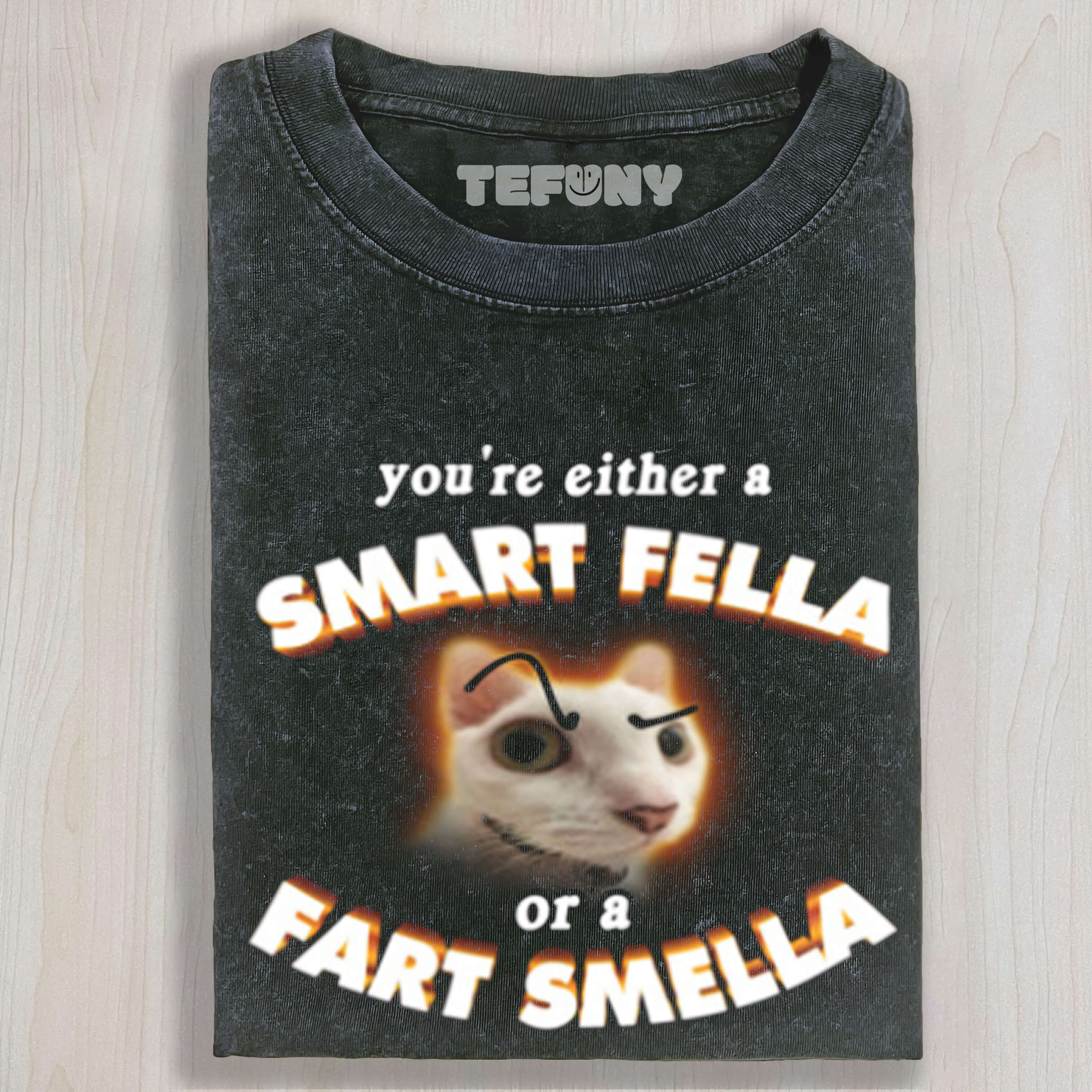 SMART FELLA CAT MEME T-SHIRT