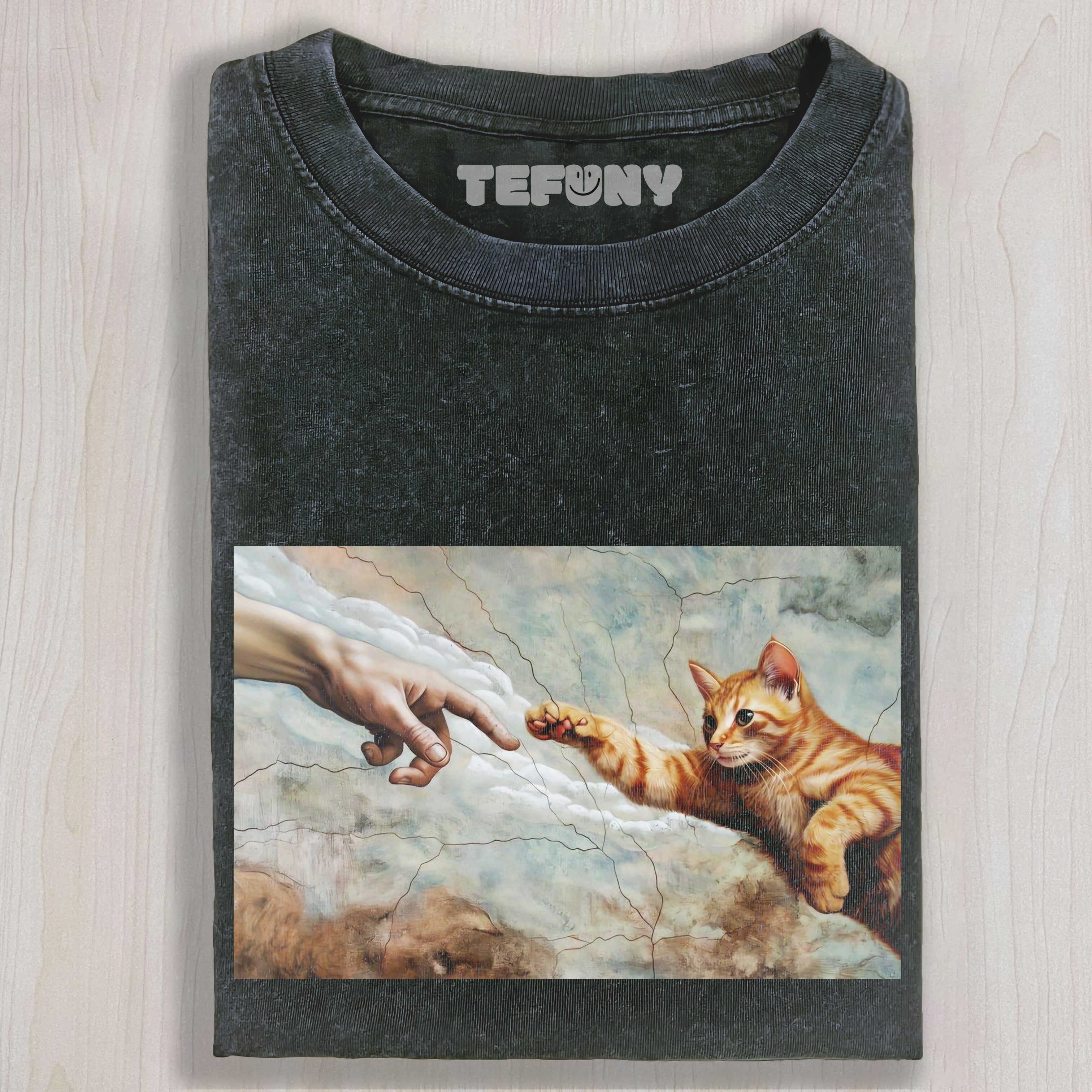 THE CAT REACHES OUT TO GOD T-SHIRT & LONG SLEEVES & HOODIES