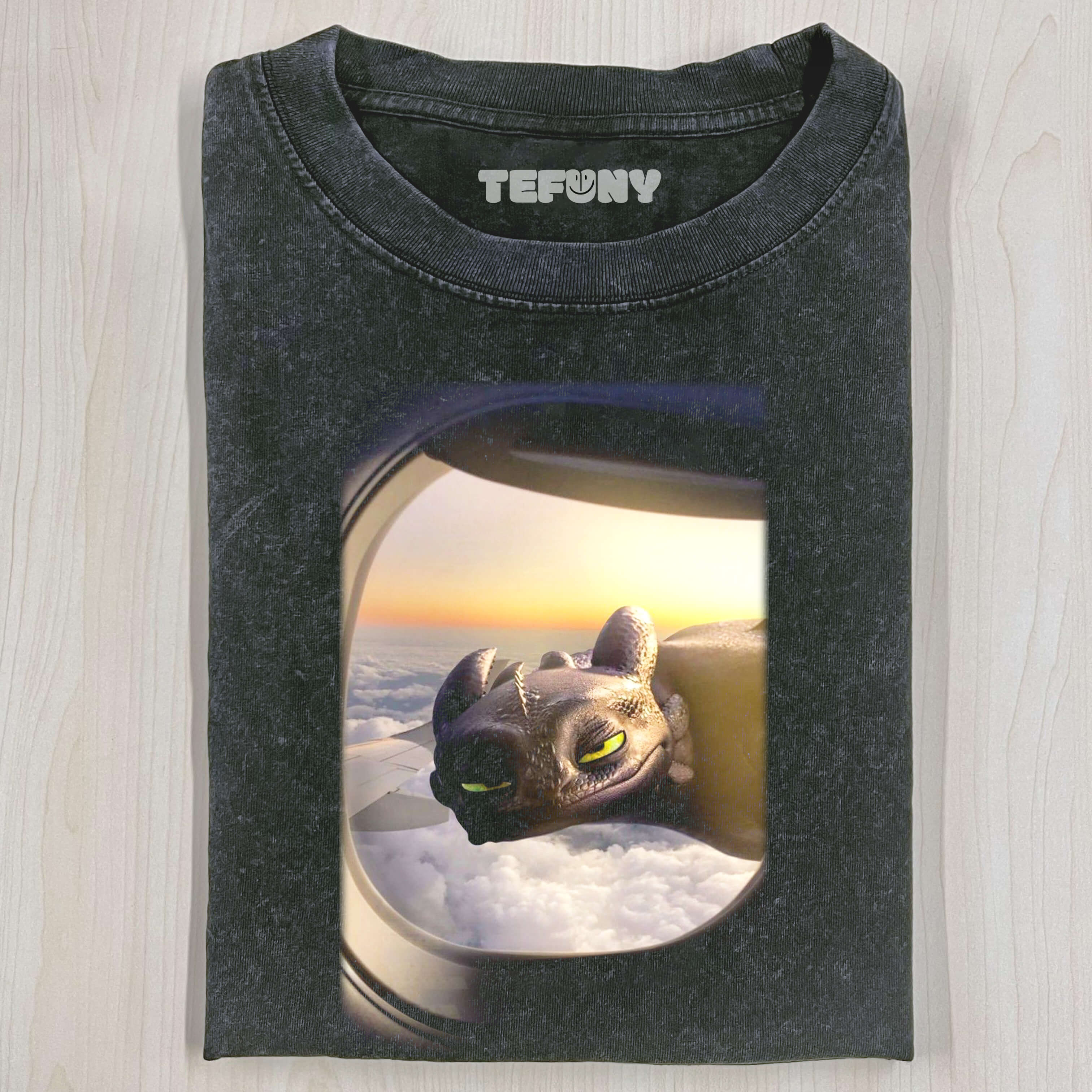 TOOTHLESS IS OUTSIDE THE PLANE T-SHIRT