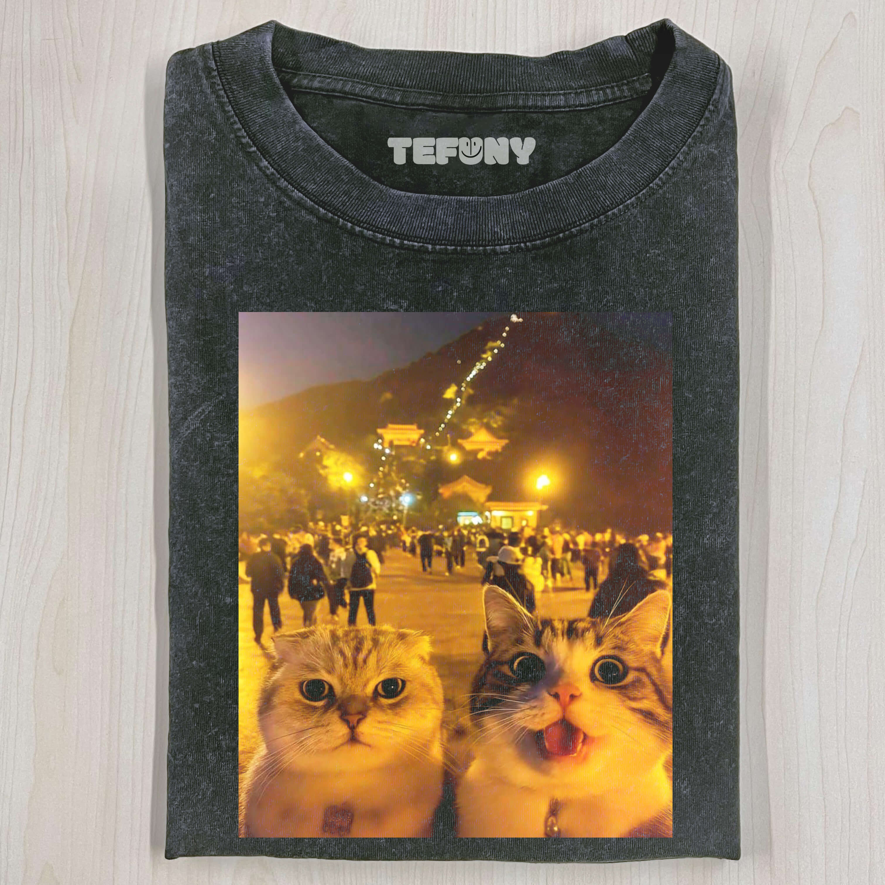 TWO CUTE KITTENS T-SHIRT