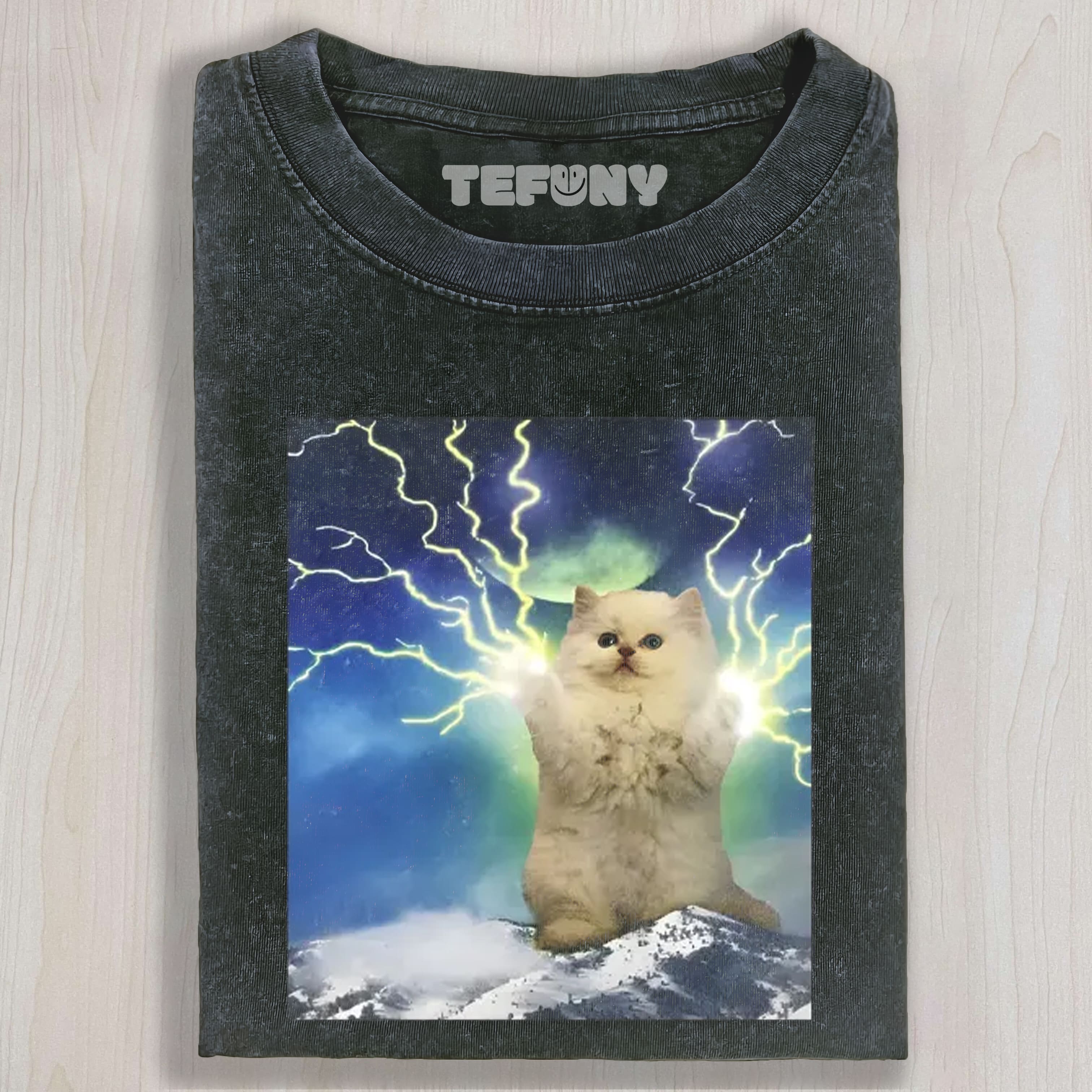 TOKYOCANVAS LIGHTNING CAT WASHED TEE & SWEAT & HOOD