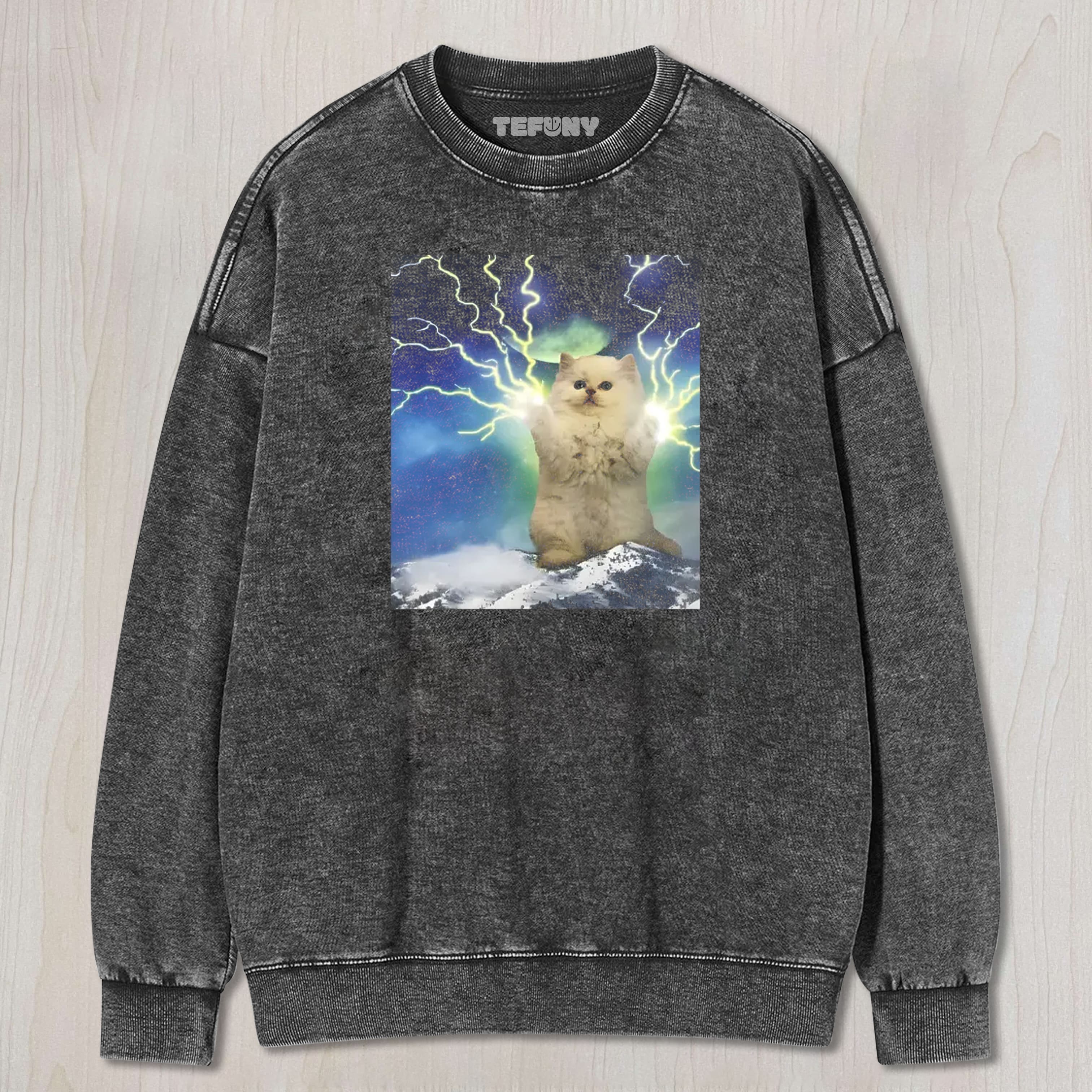 TOKYOCANVAS LIGHTNING CAT WASHED TEE & SWEAT & HOOD