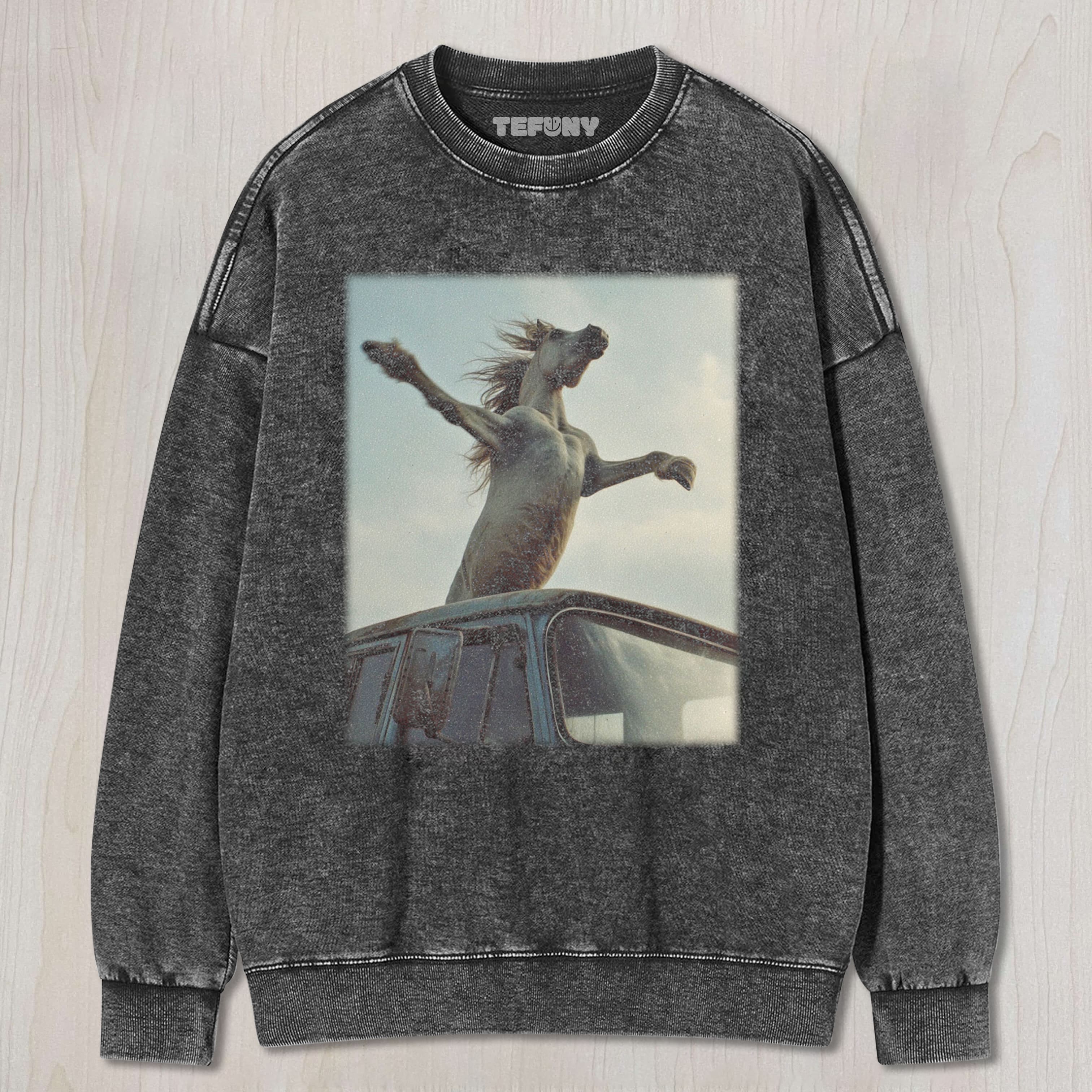 WACKY HORSE VINTAGE WASHED A9 TEE & SWEAT & HOOD
